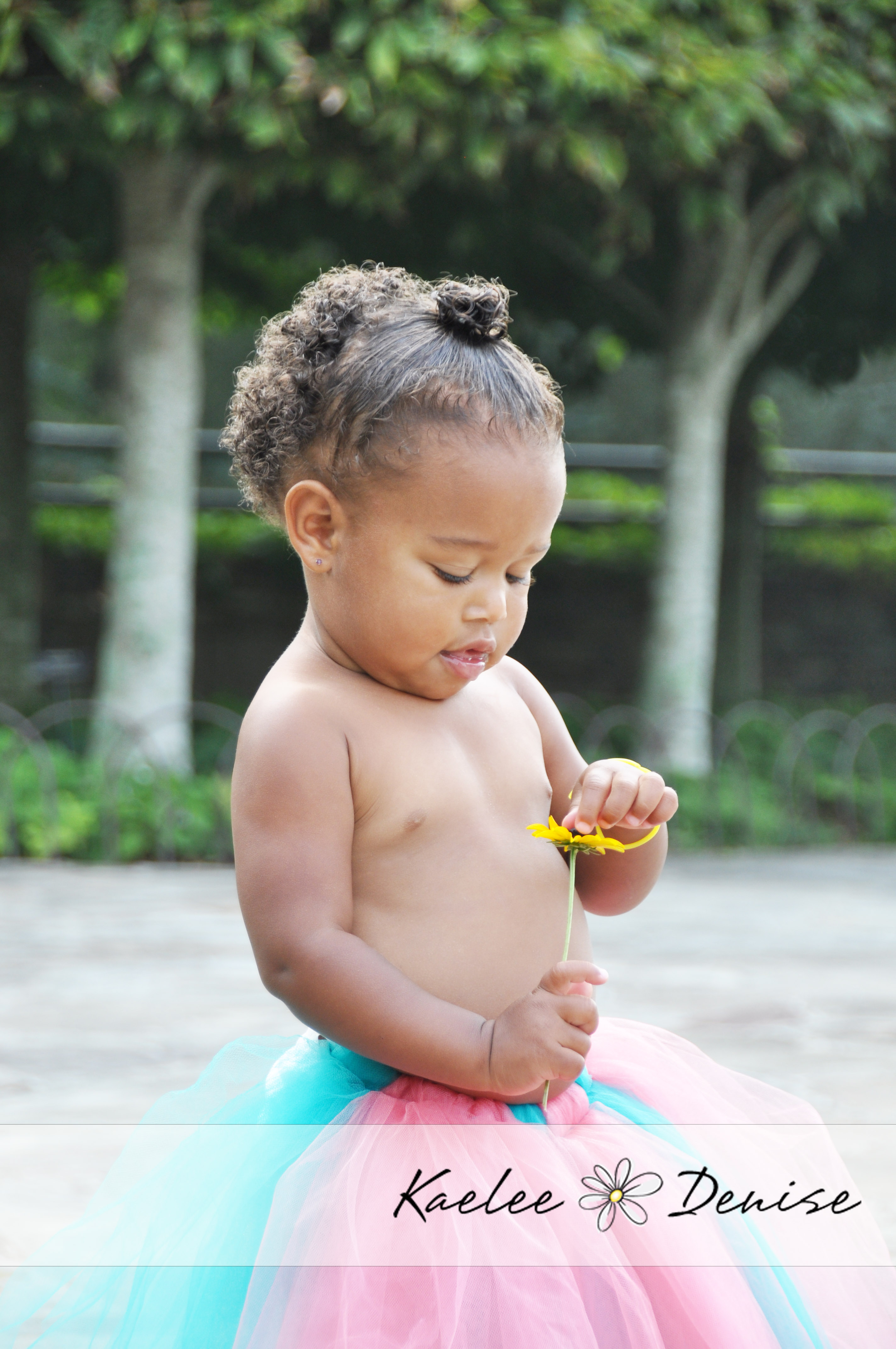 Kaelee Denise Photography