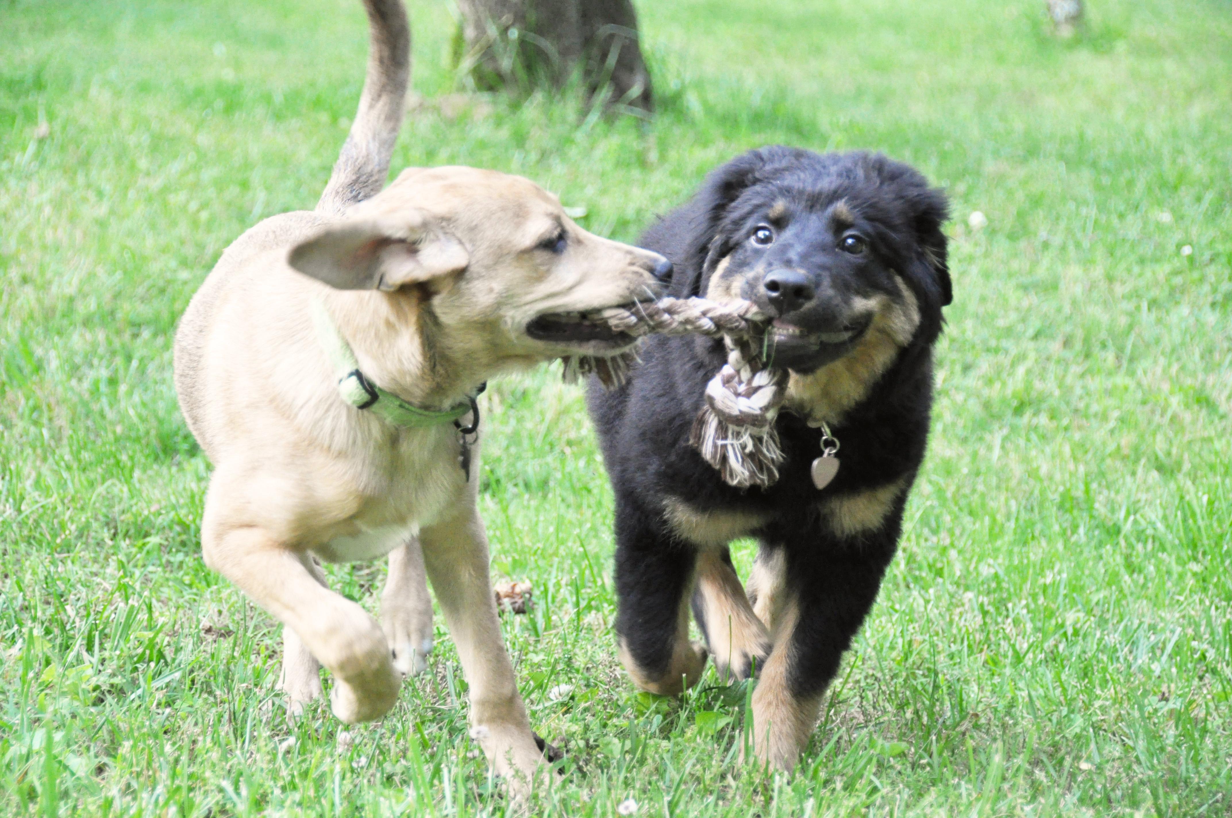 Kaelee Denise Photography