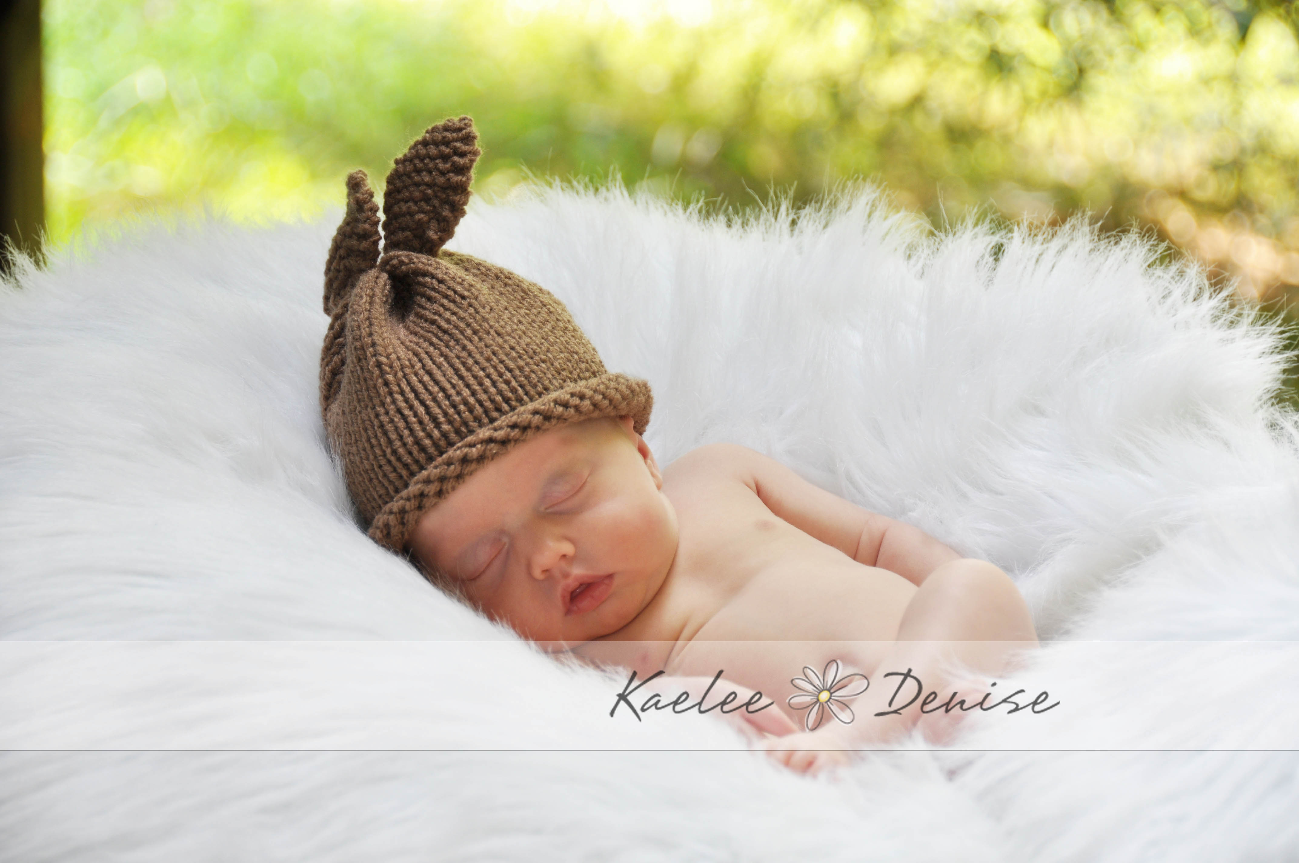 Kaelee Denise Photography