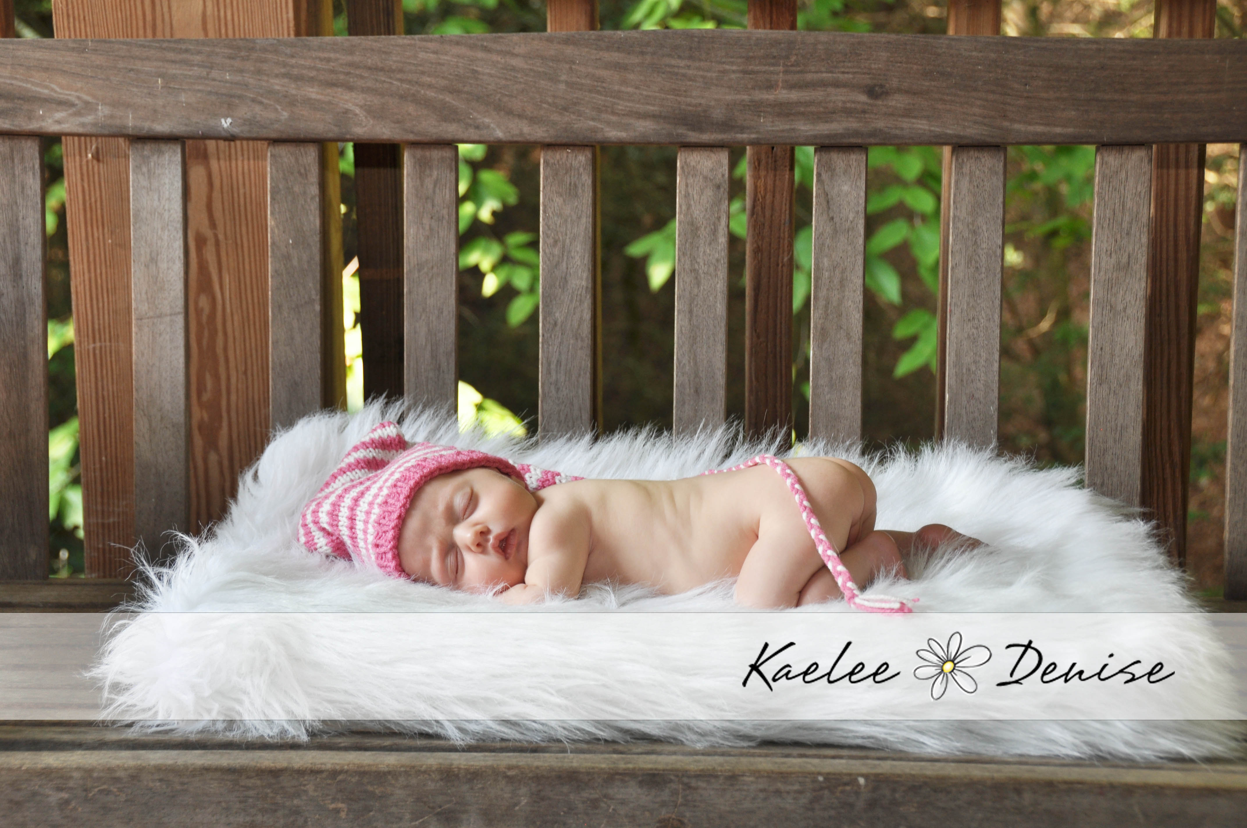 Kaelee Denise Photography