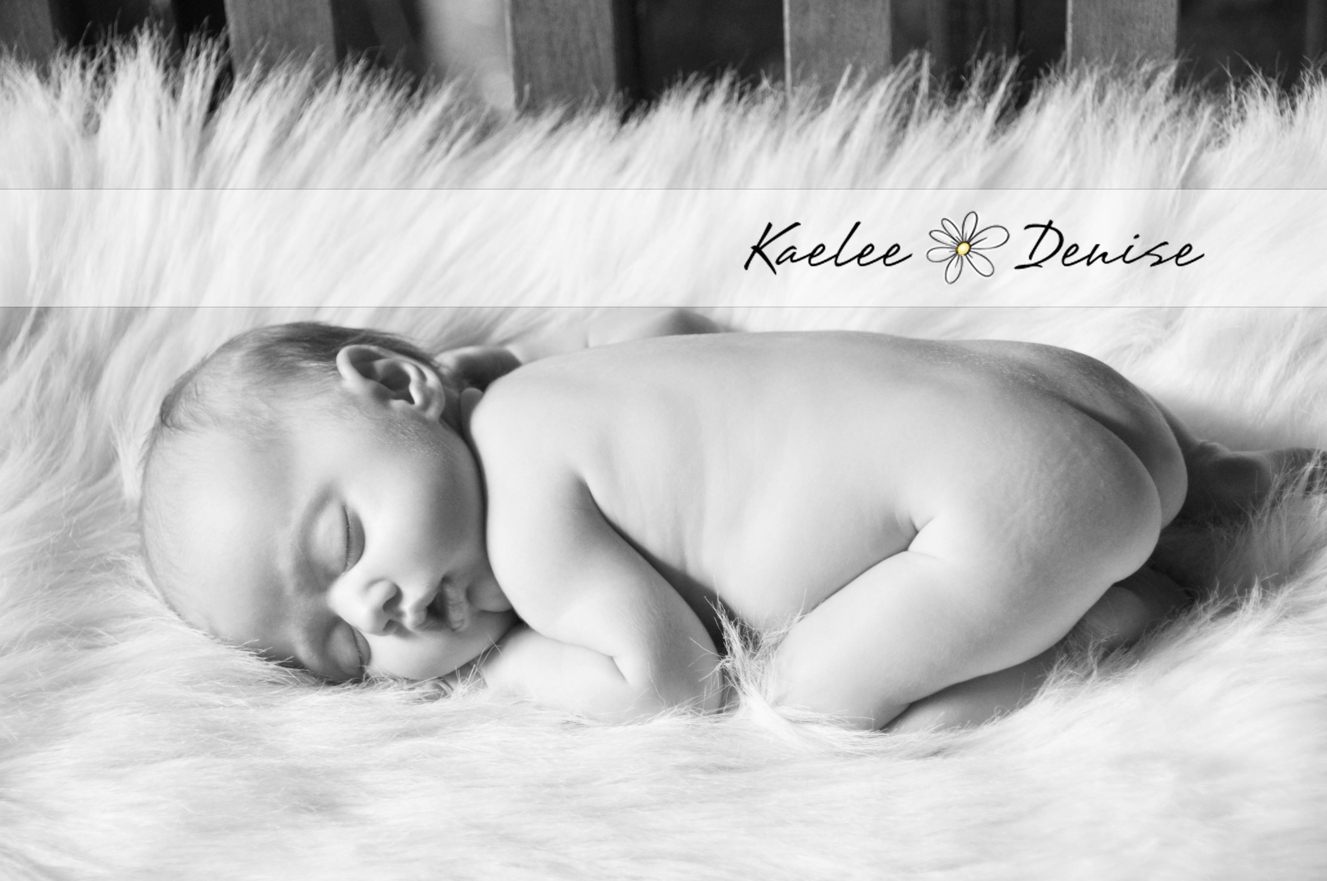 Kaelee Denise Photography