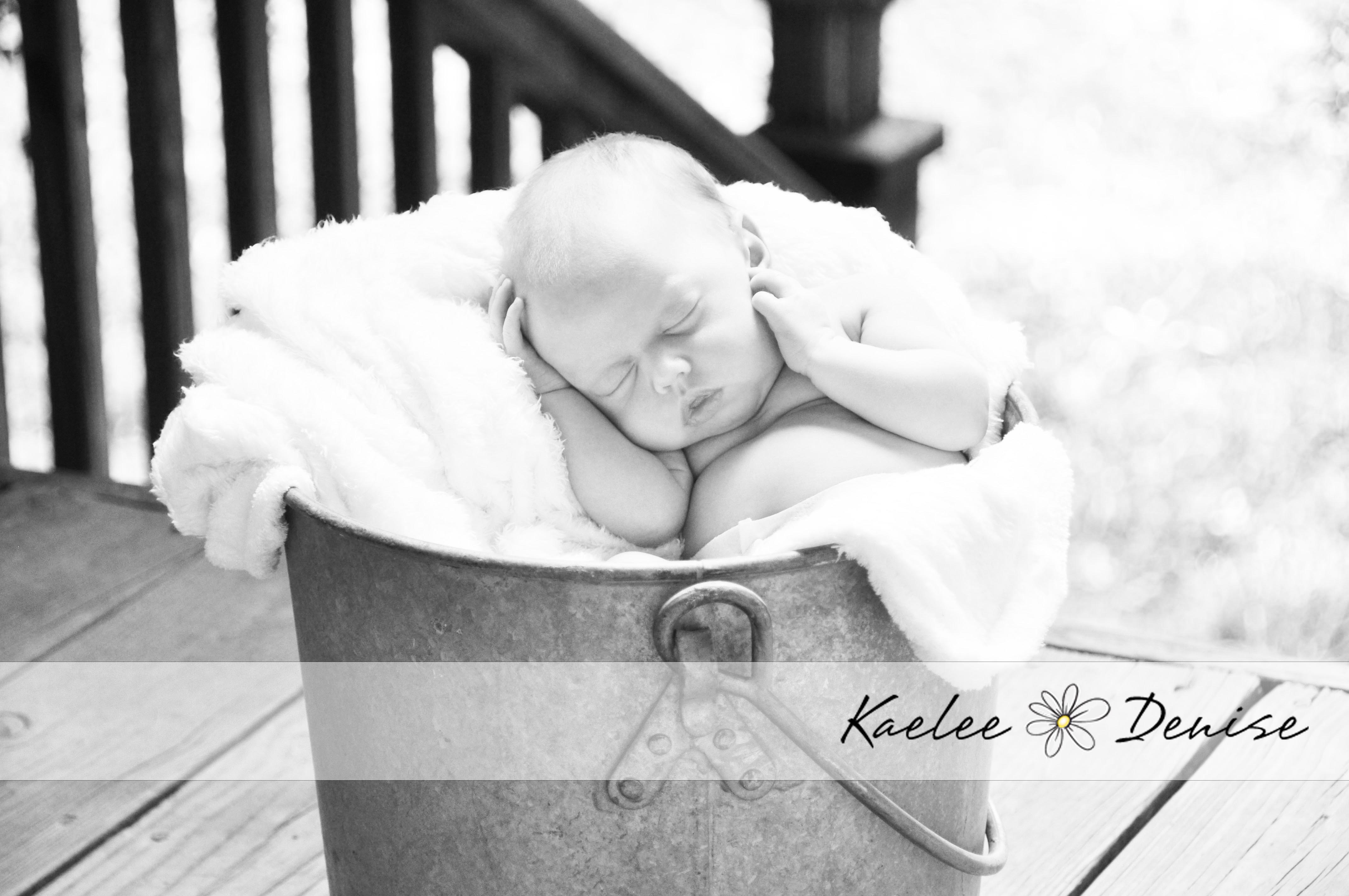 Kaelee Denise Photography