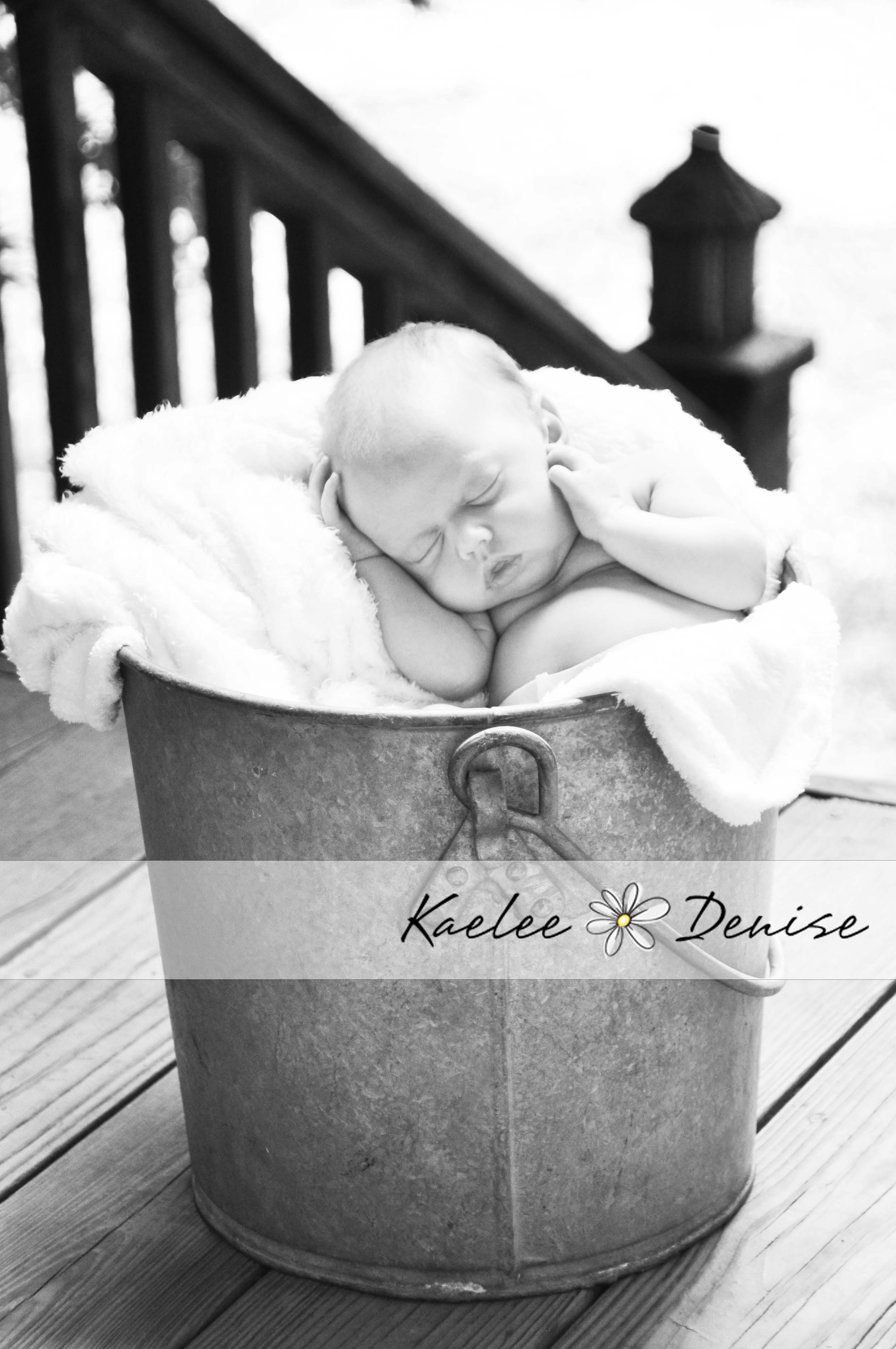 Kaelee Denise Photography