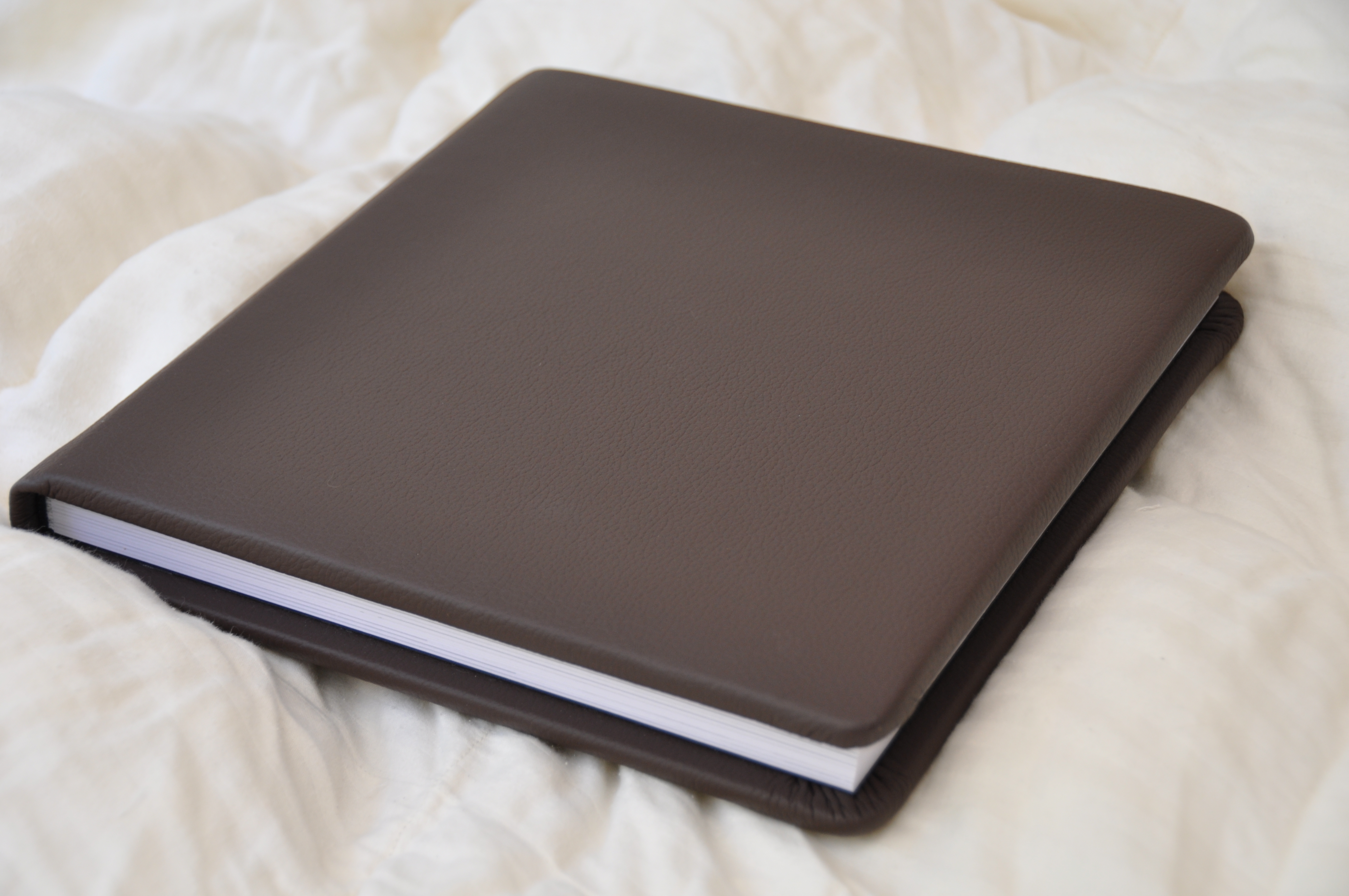 Kaelee Denise Photography