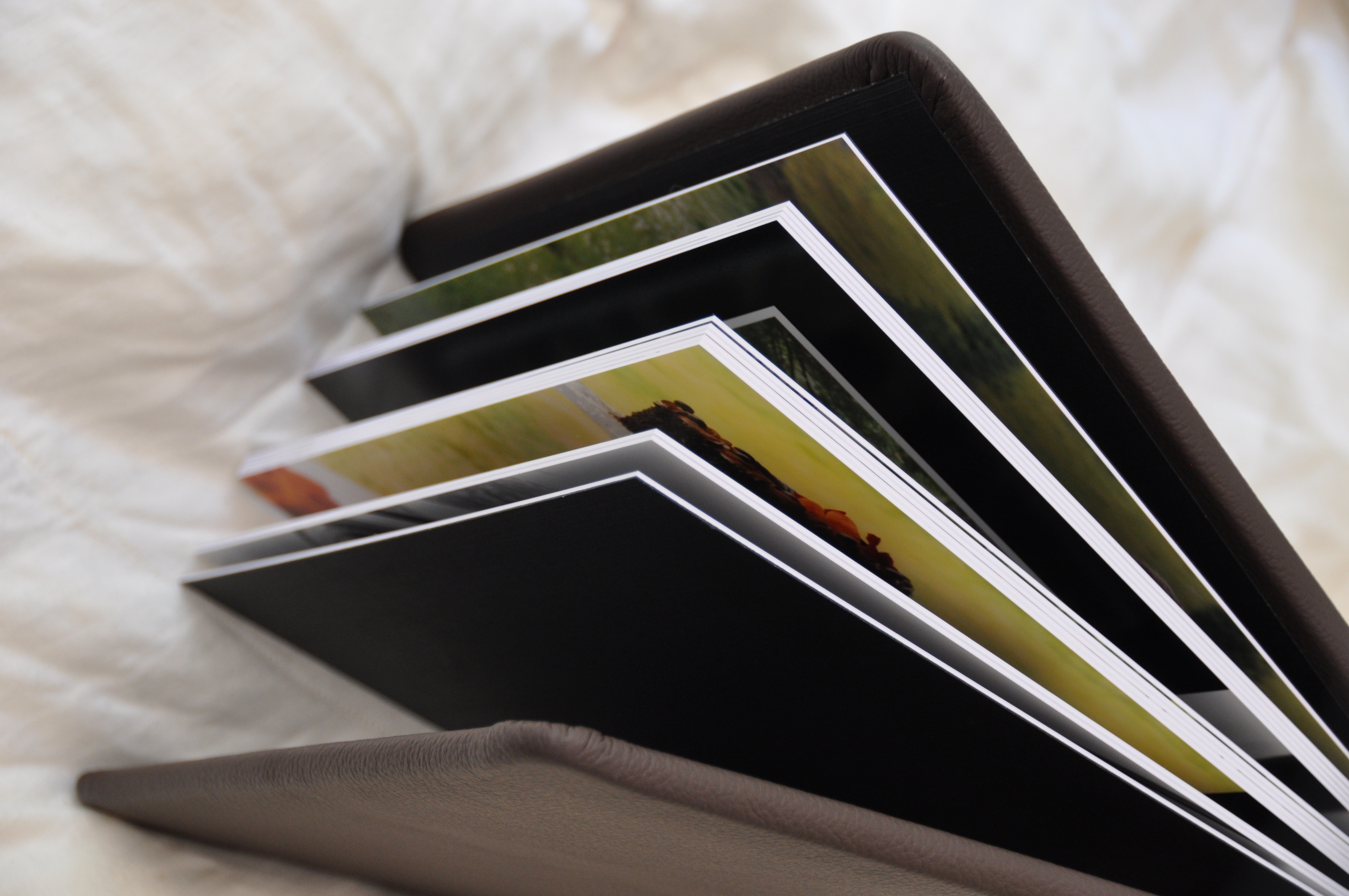 Kaelee Denise Photography