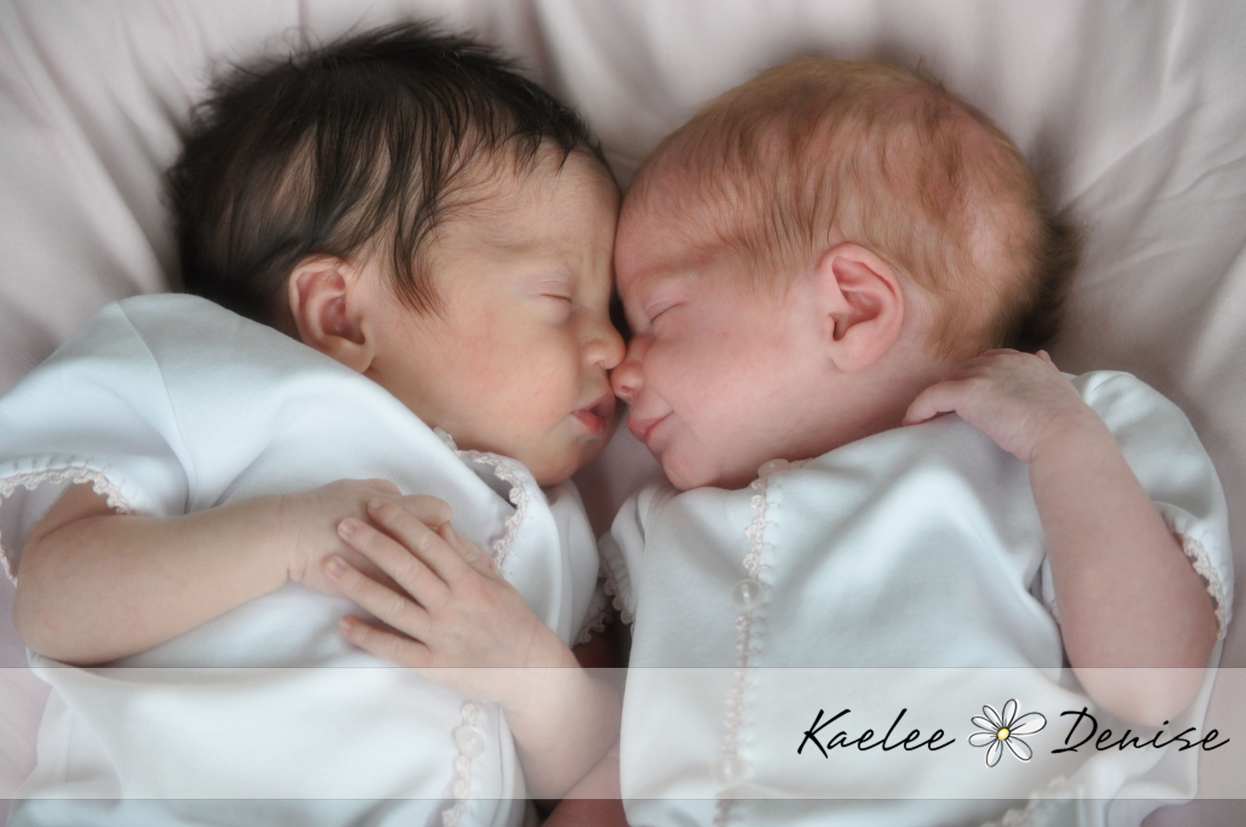 Kaelee Denise Photography