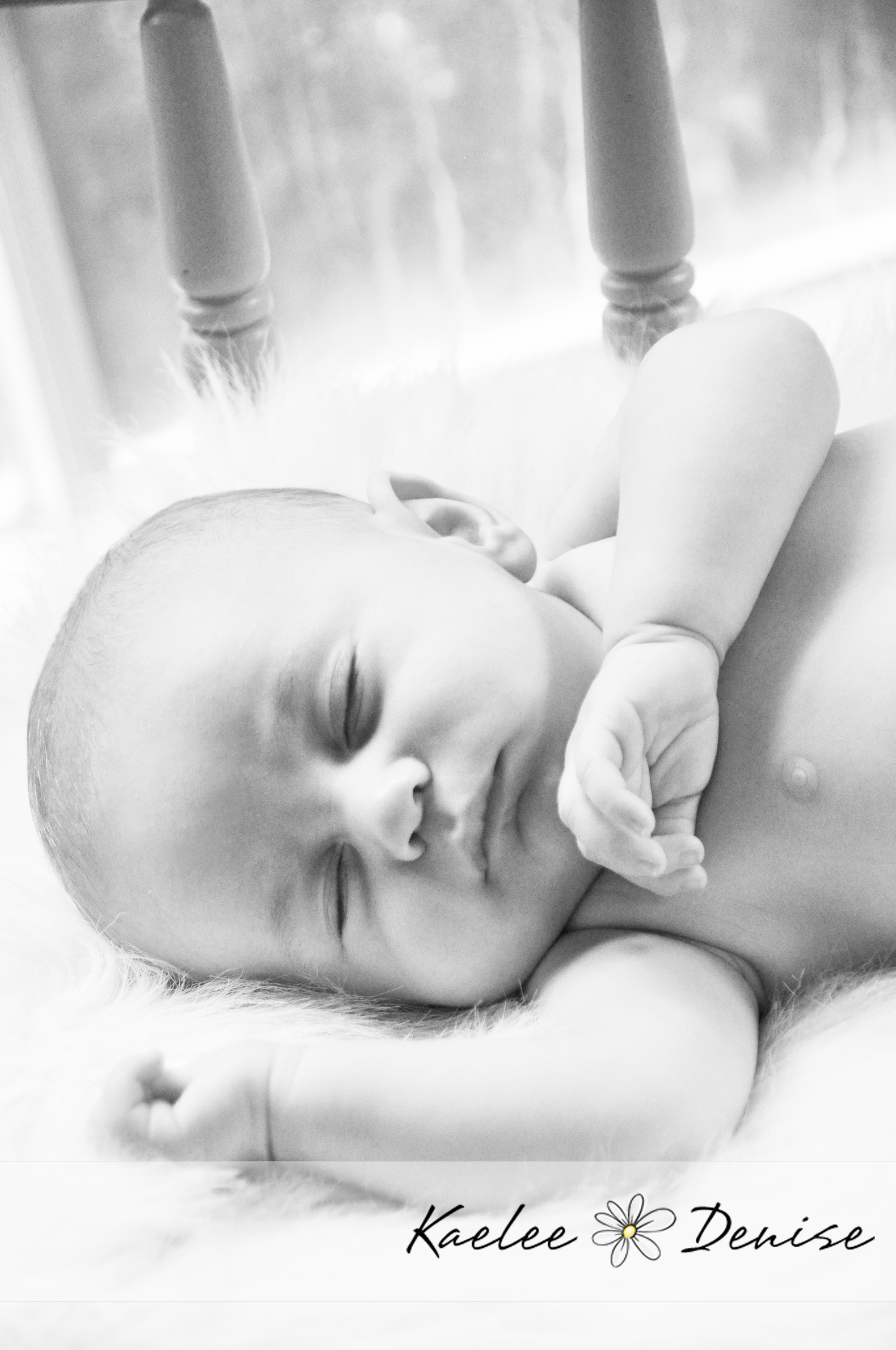 Kaelee Denise Photography