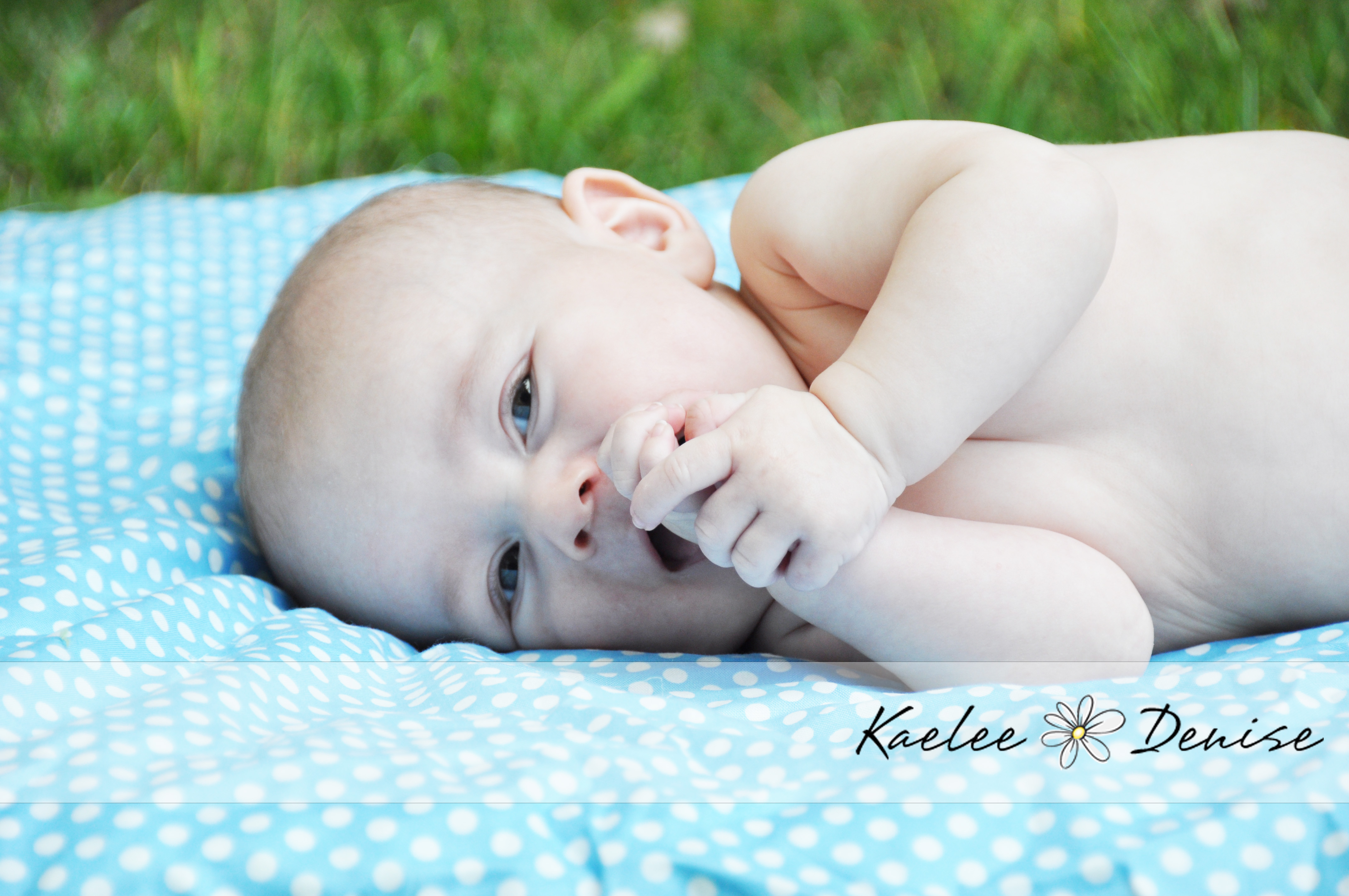 Kaelee Denise Photography