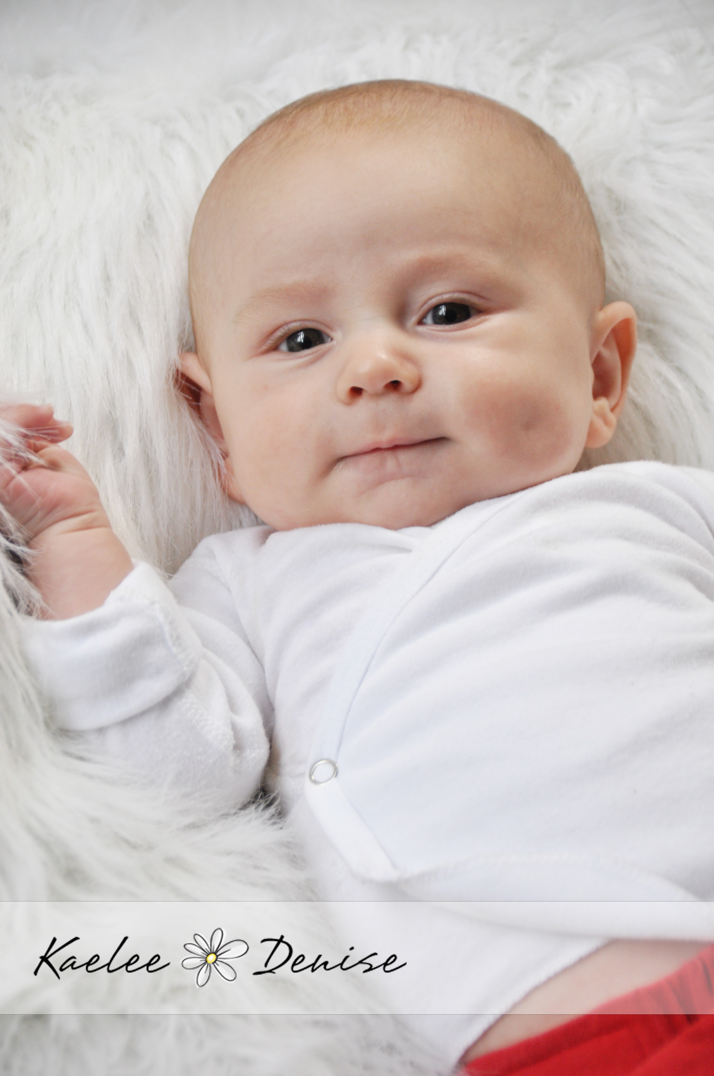 Kaelee Denise Photography