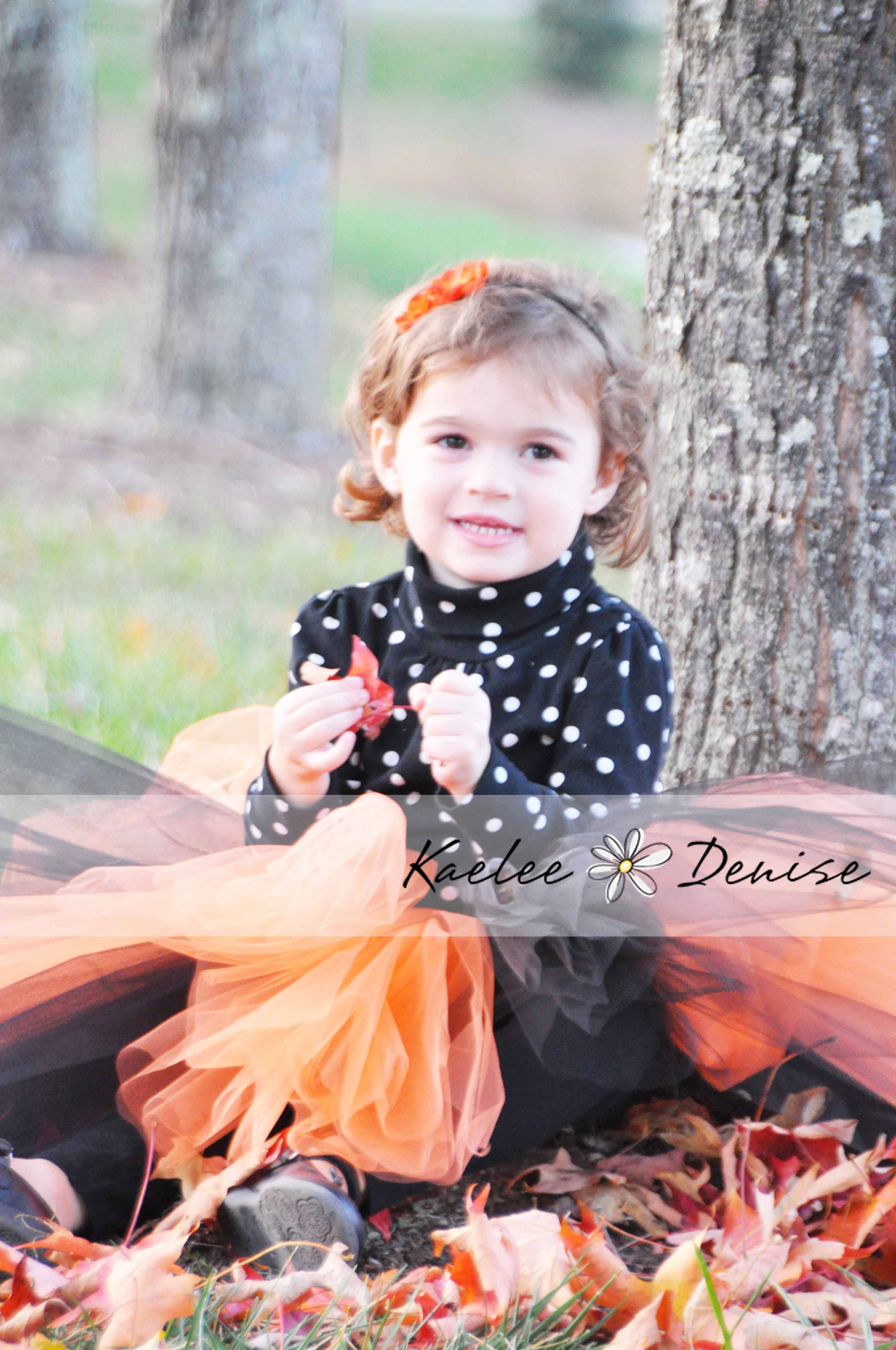 Kaelee Denise Photography