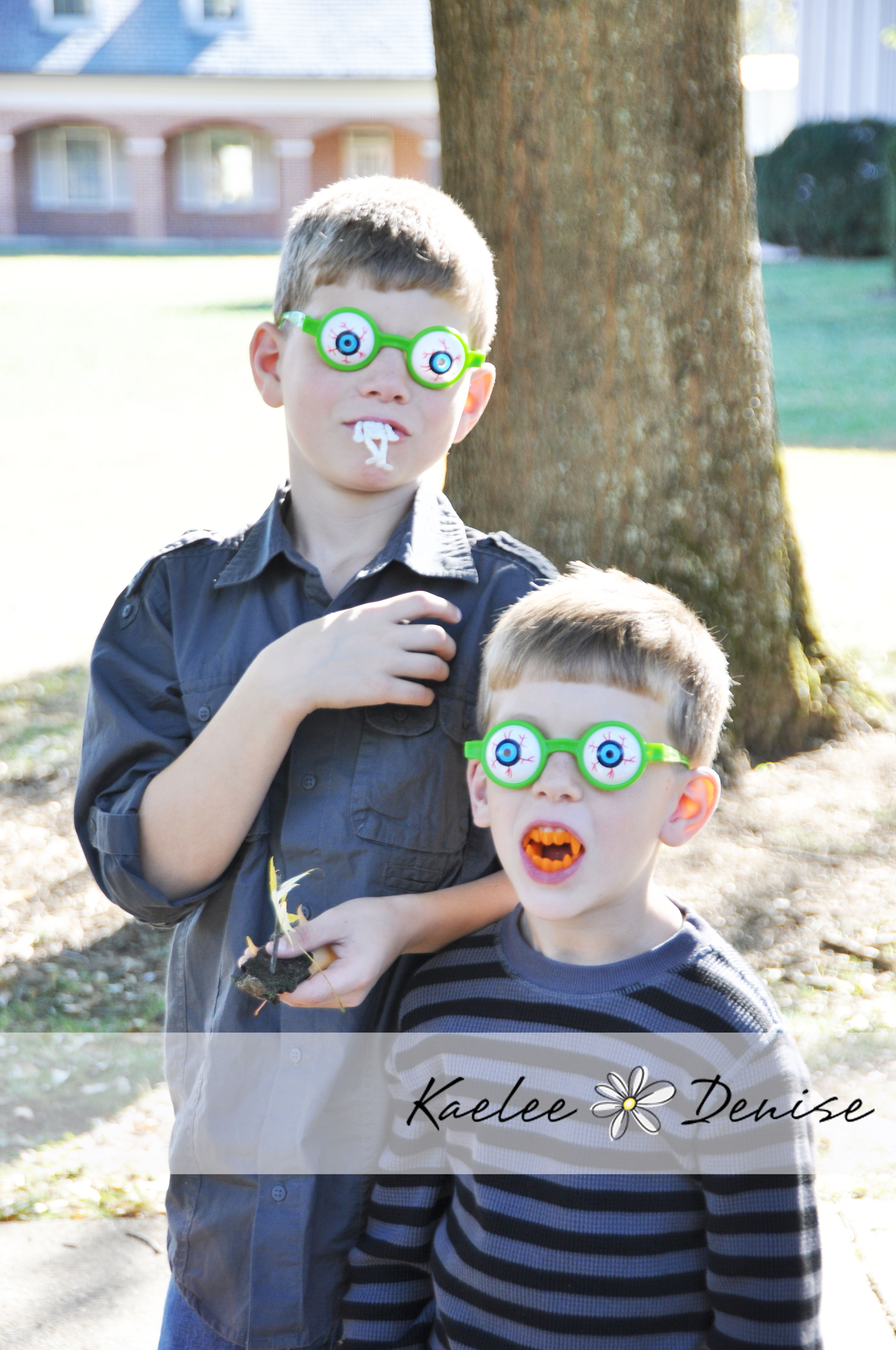 Kaelee Denise Photography