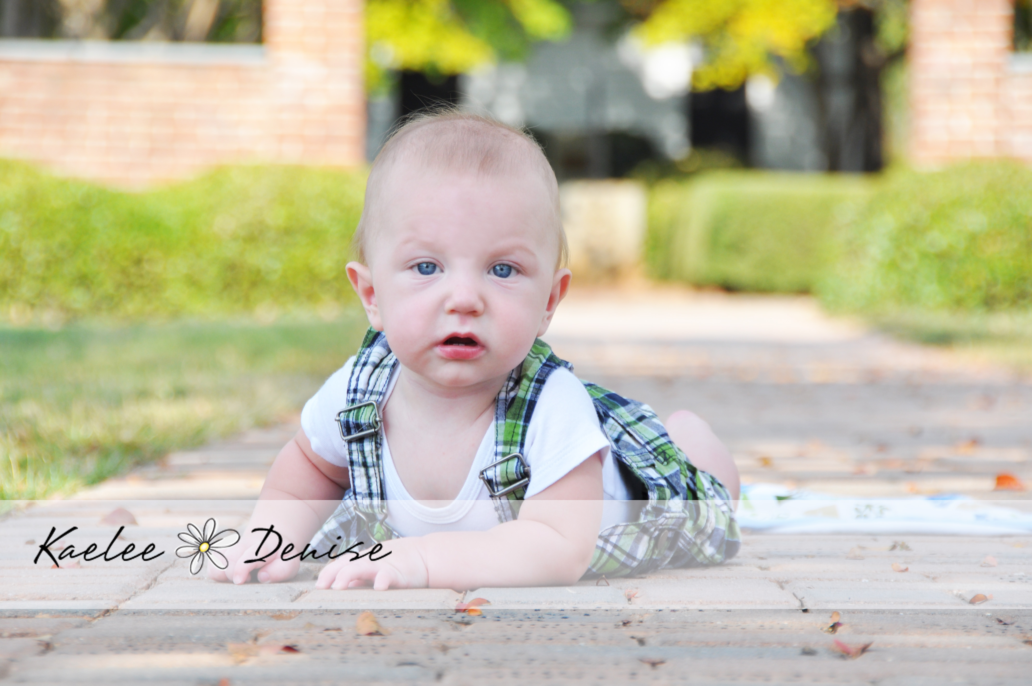 Kaelee Denise Photography