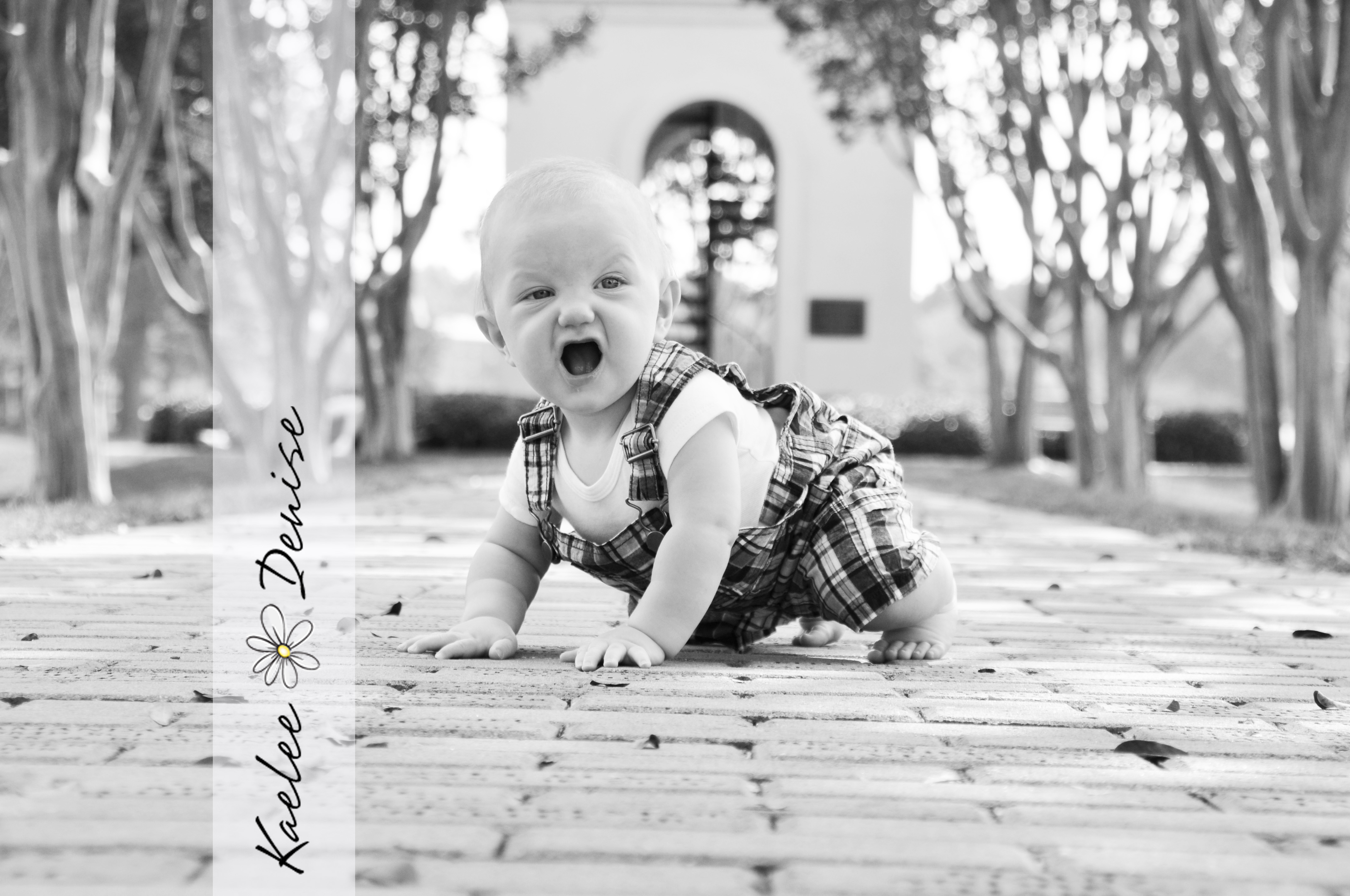 Kaelee Denise Photography