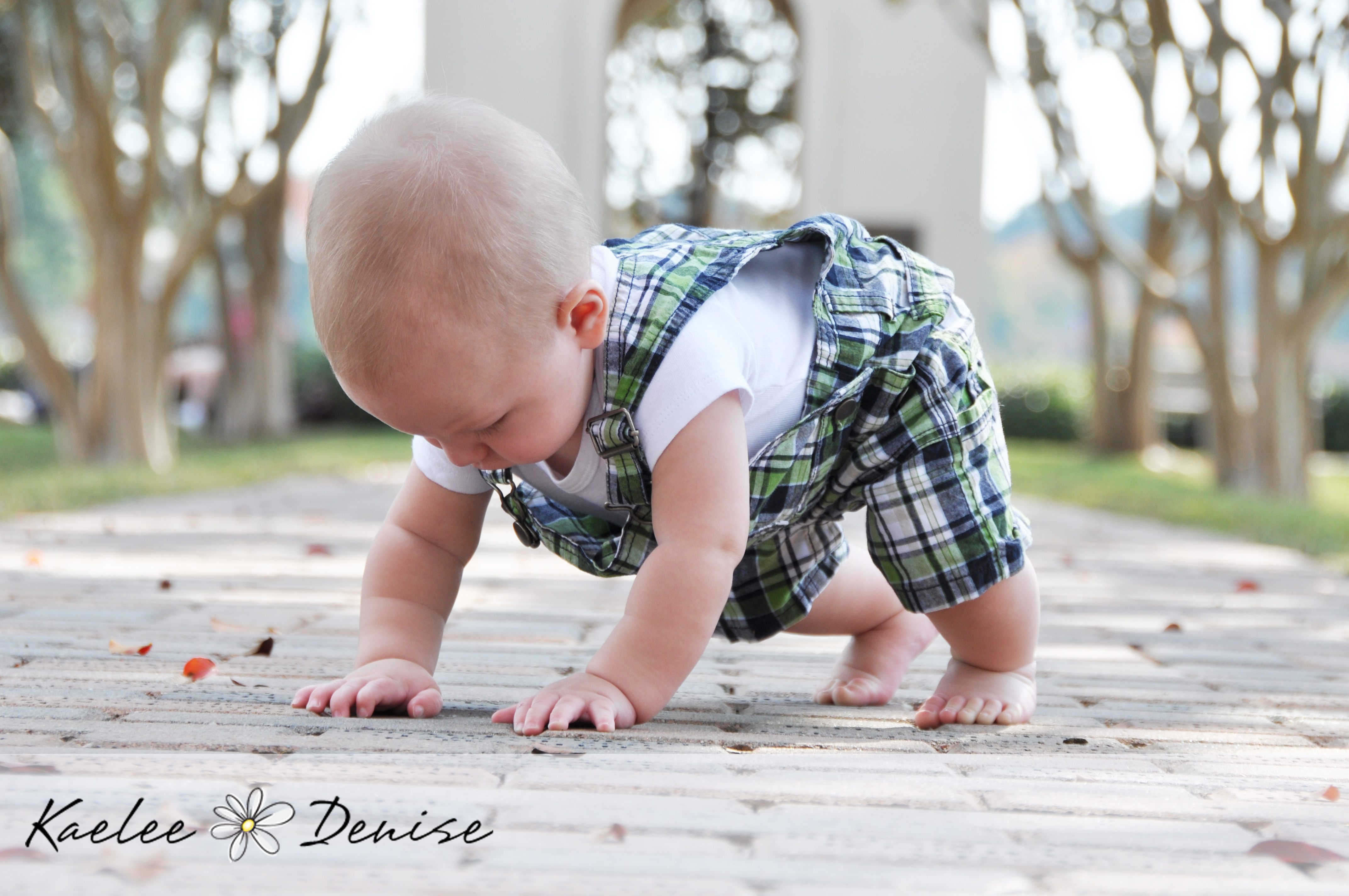 Kaelee Denise Photography