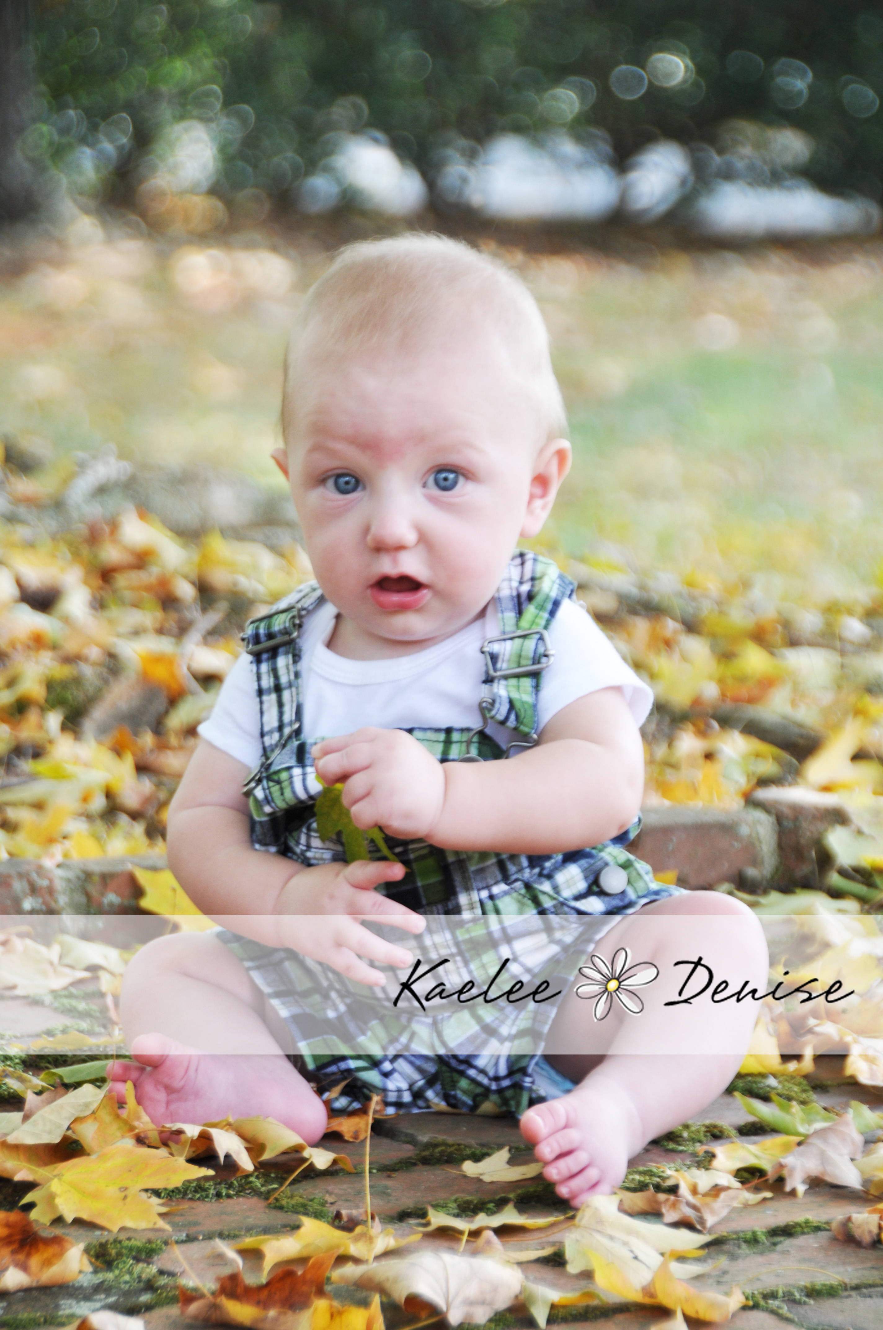 Kaelee Denise Photography