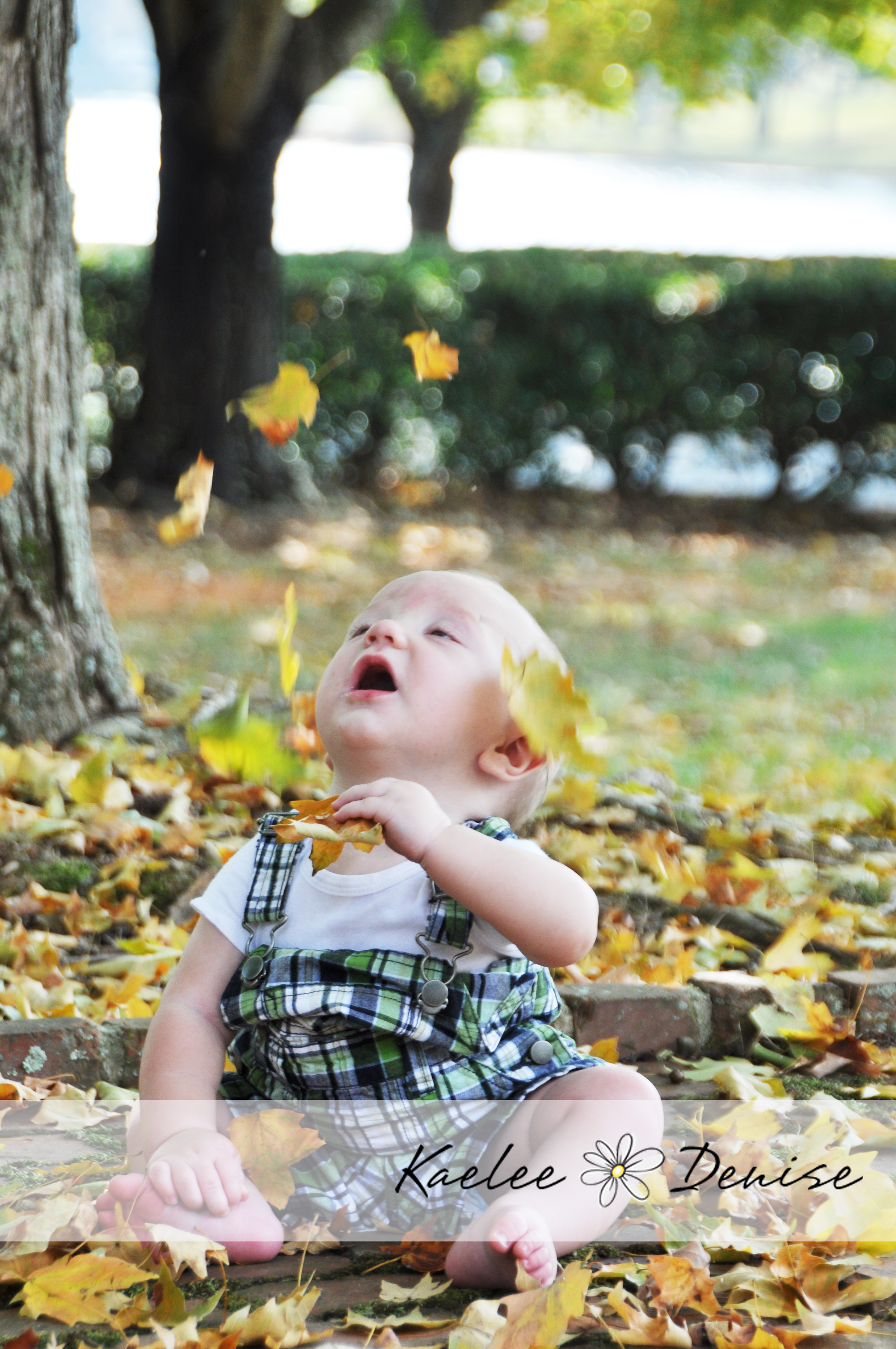 Kaelee Denise Photography