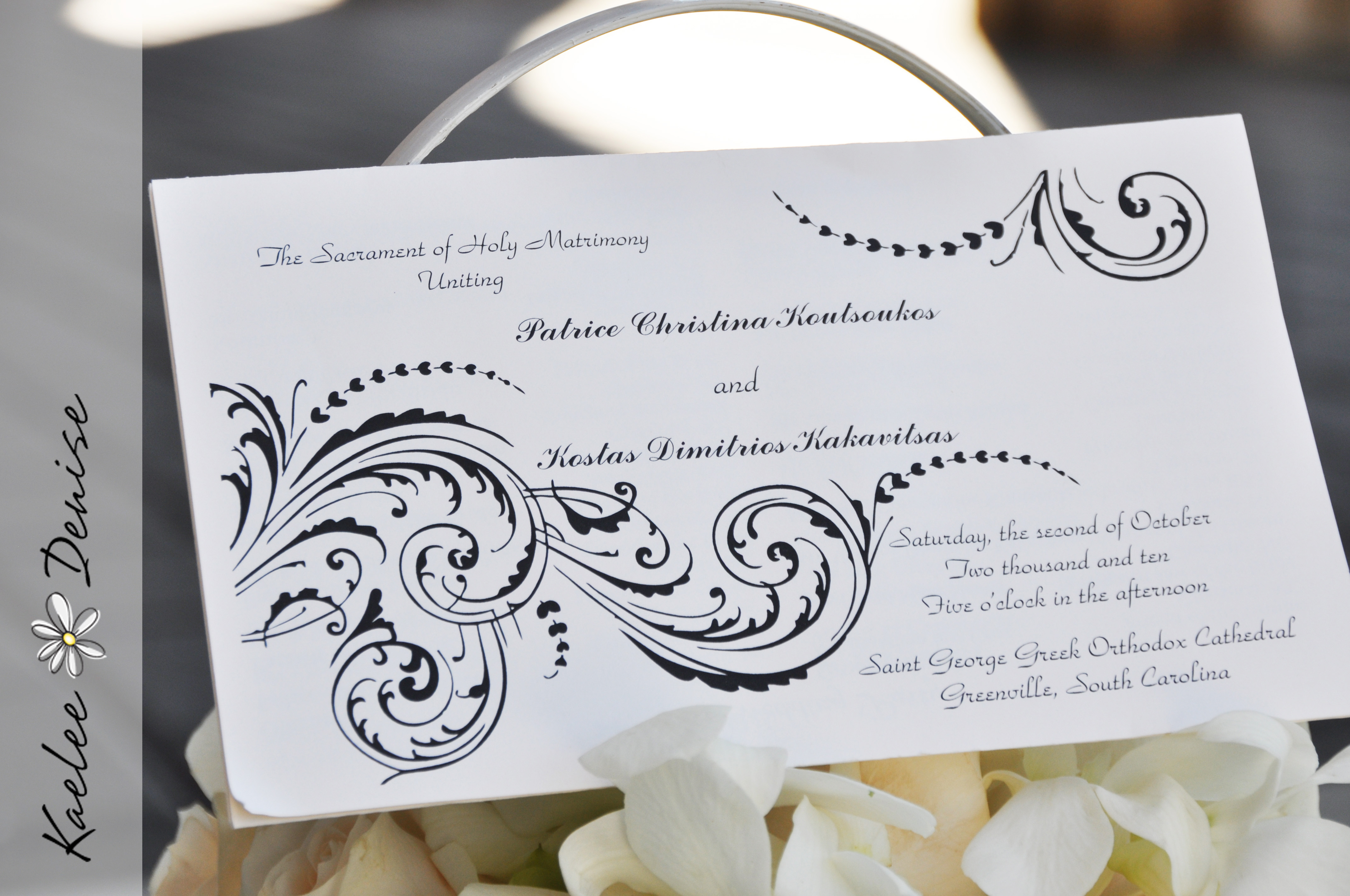 Kaelee Denise Photography