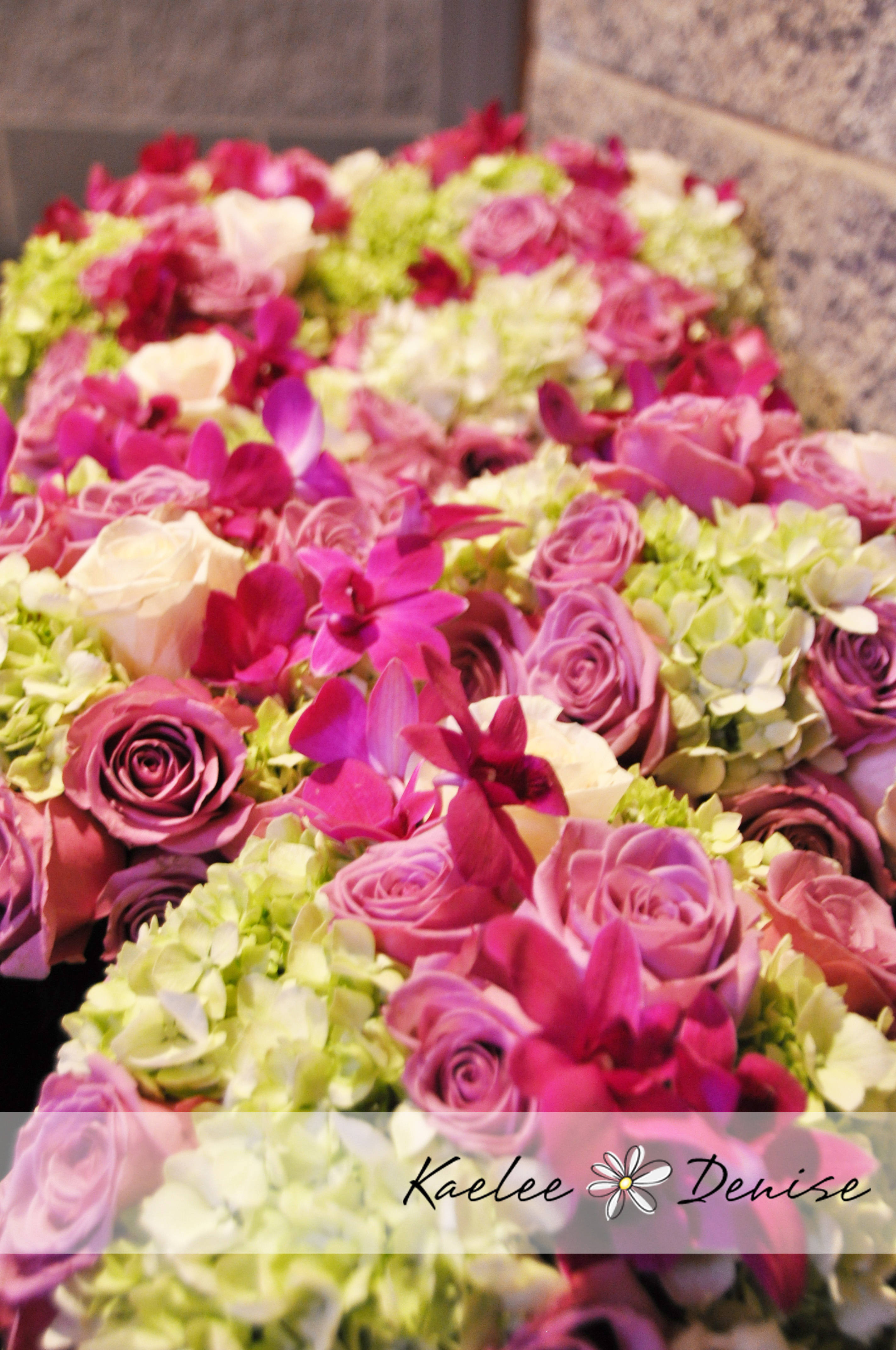 Kaelee Denise Photography