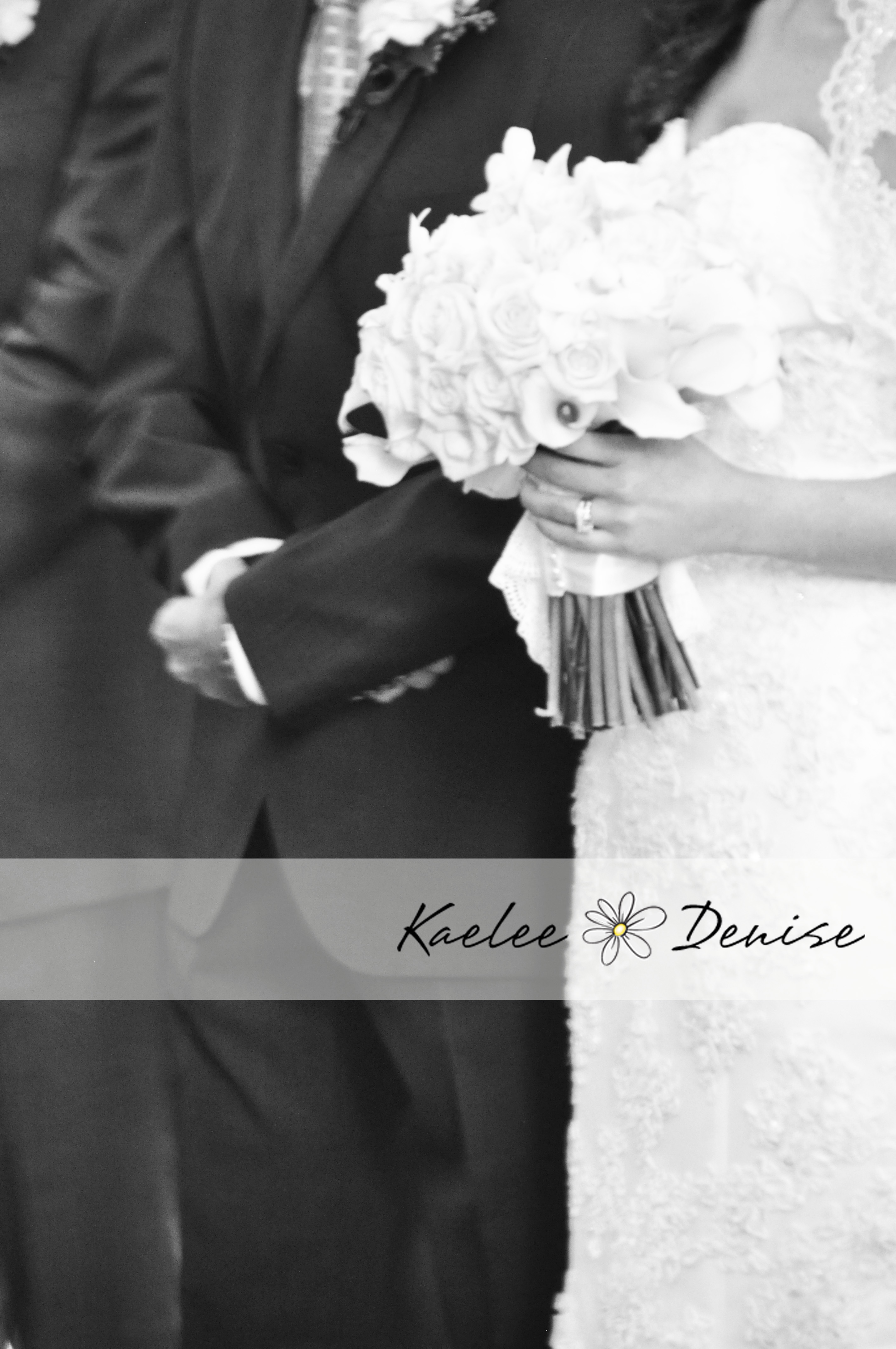 Kaelee Denise Photography