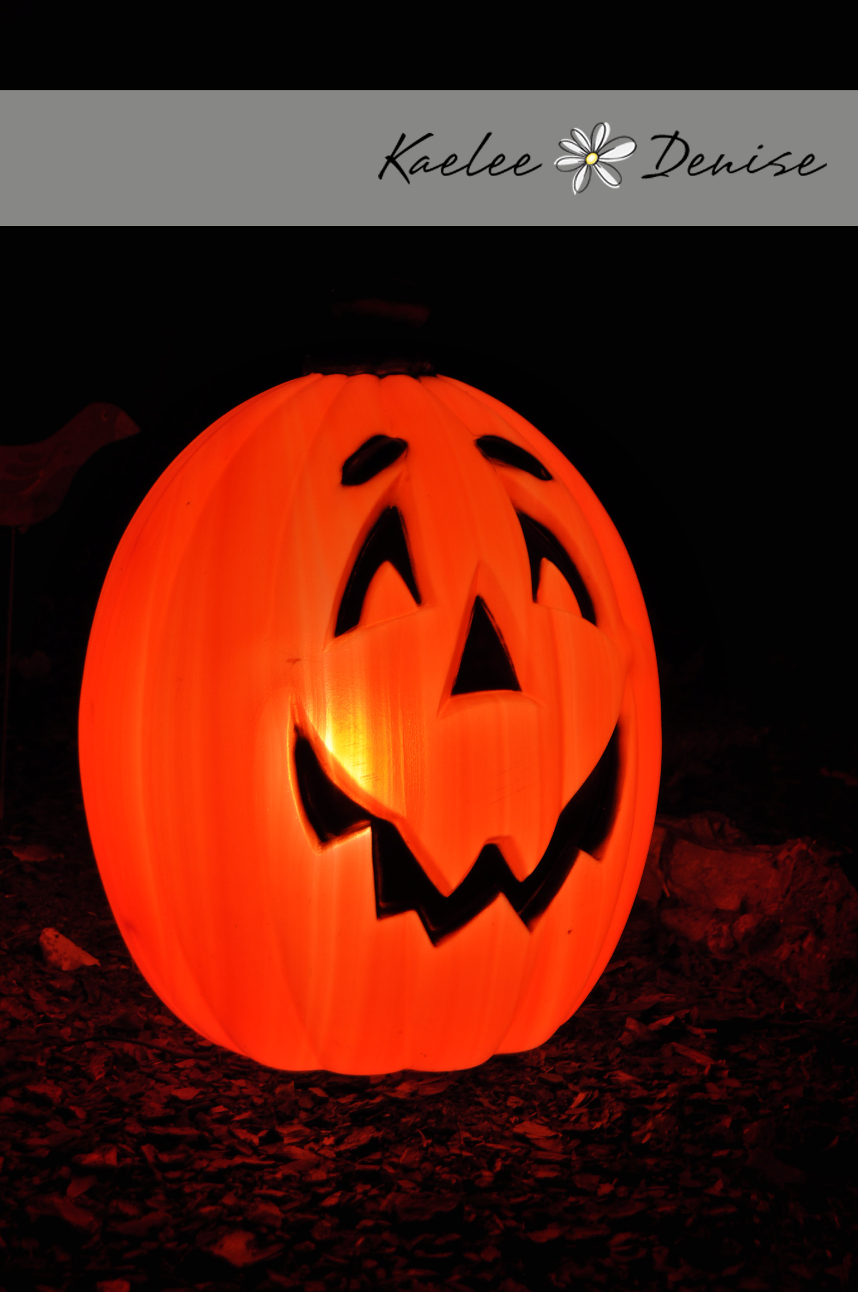 Kaelee Denise Photography