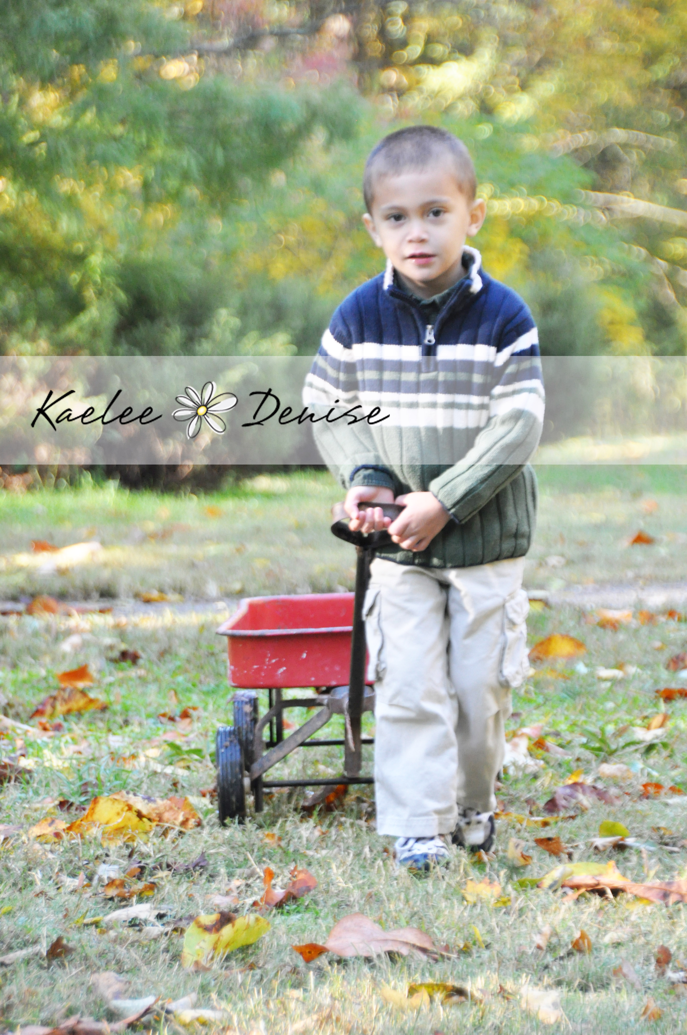 Kaelee Denise Photography