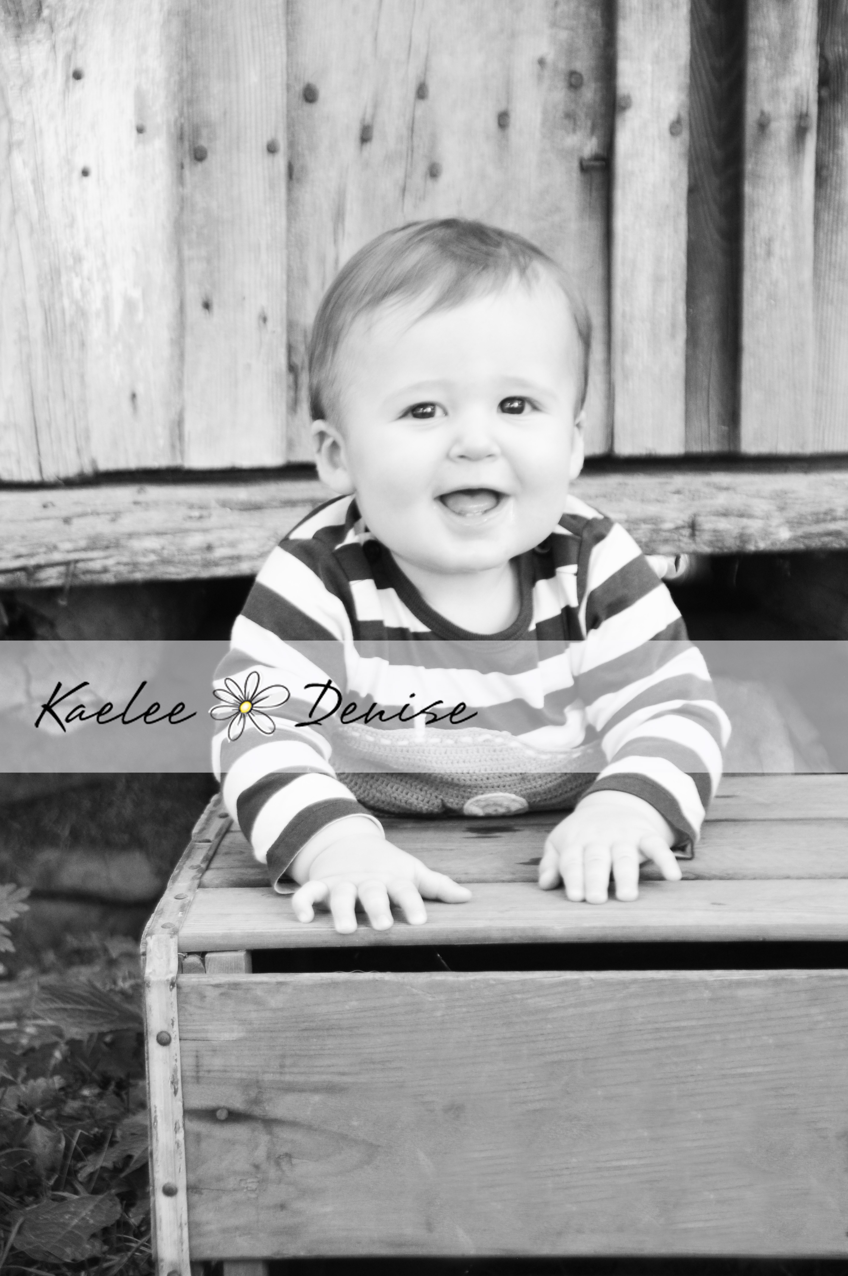 Kaelee Denise Photography