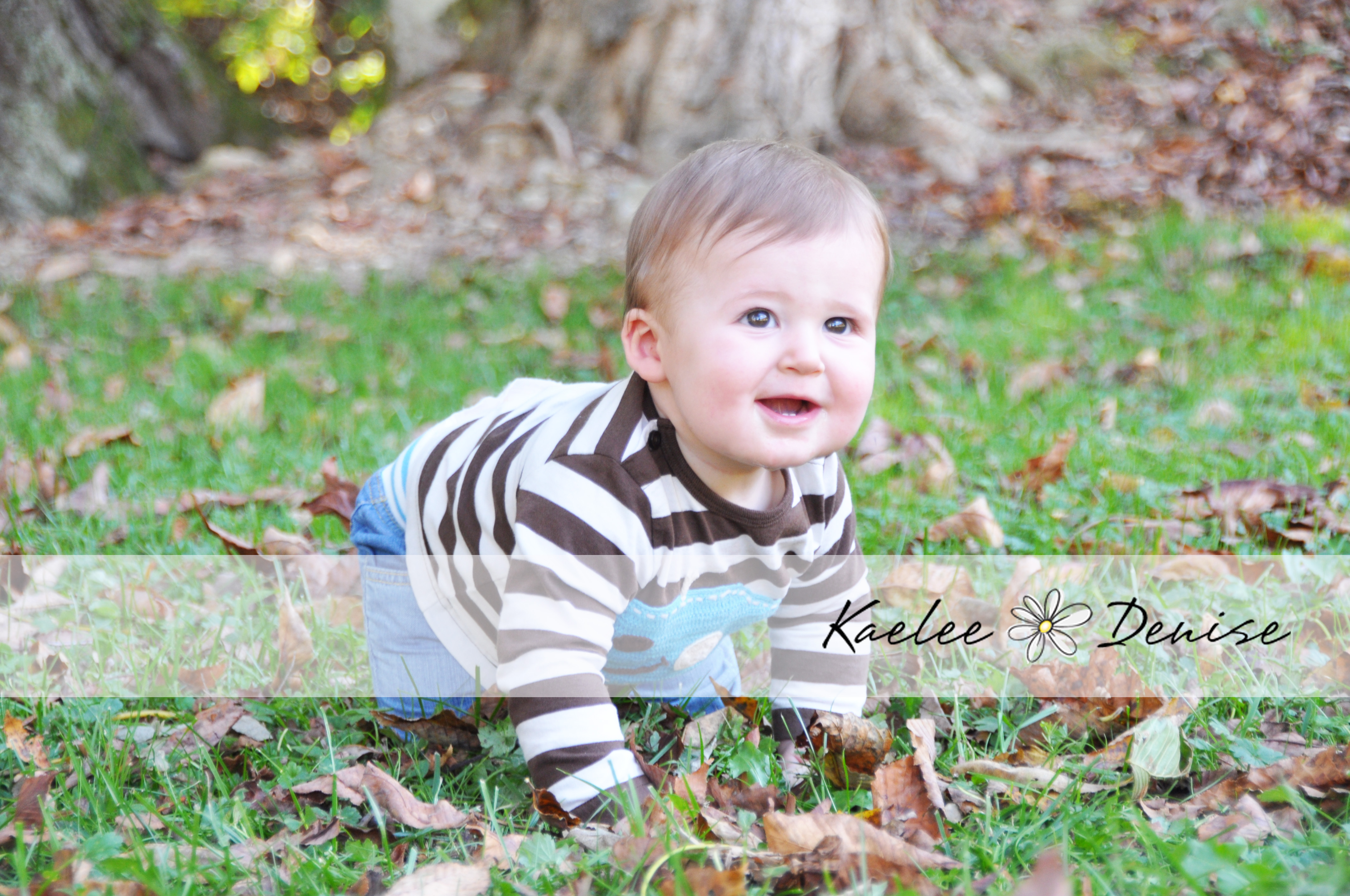 Kaelee Denise Photography