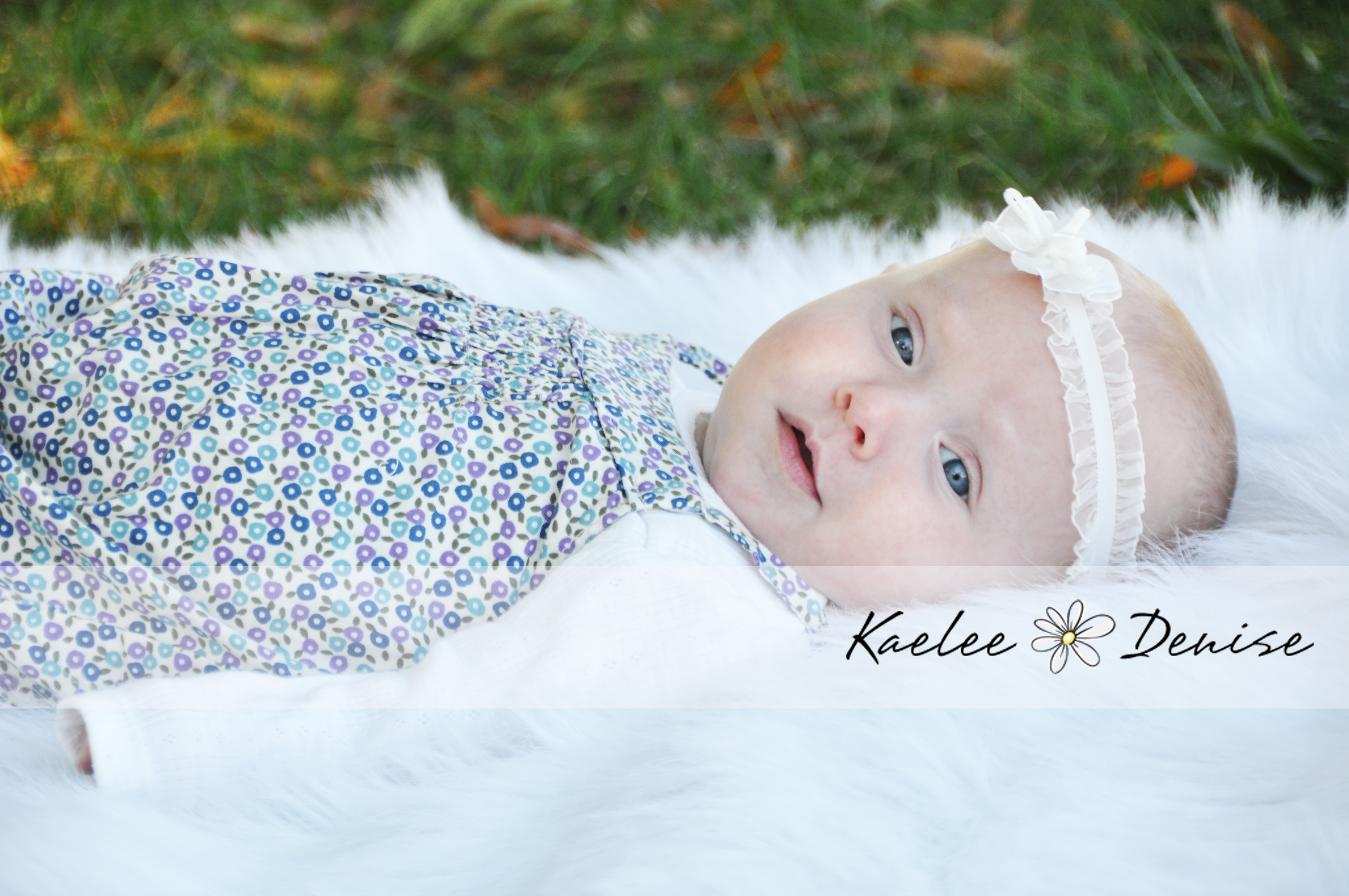 Kaelee Denise Photography