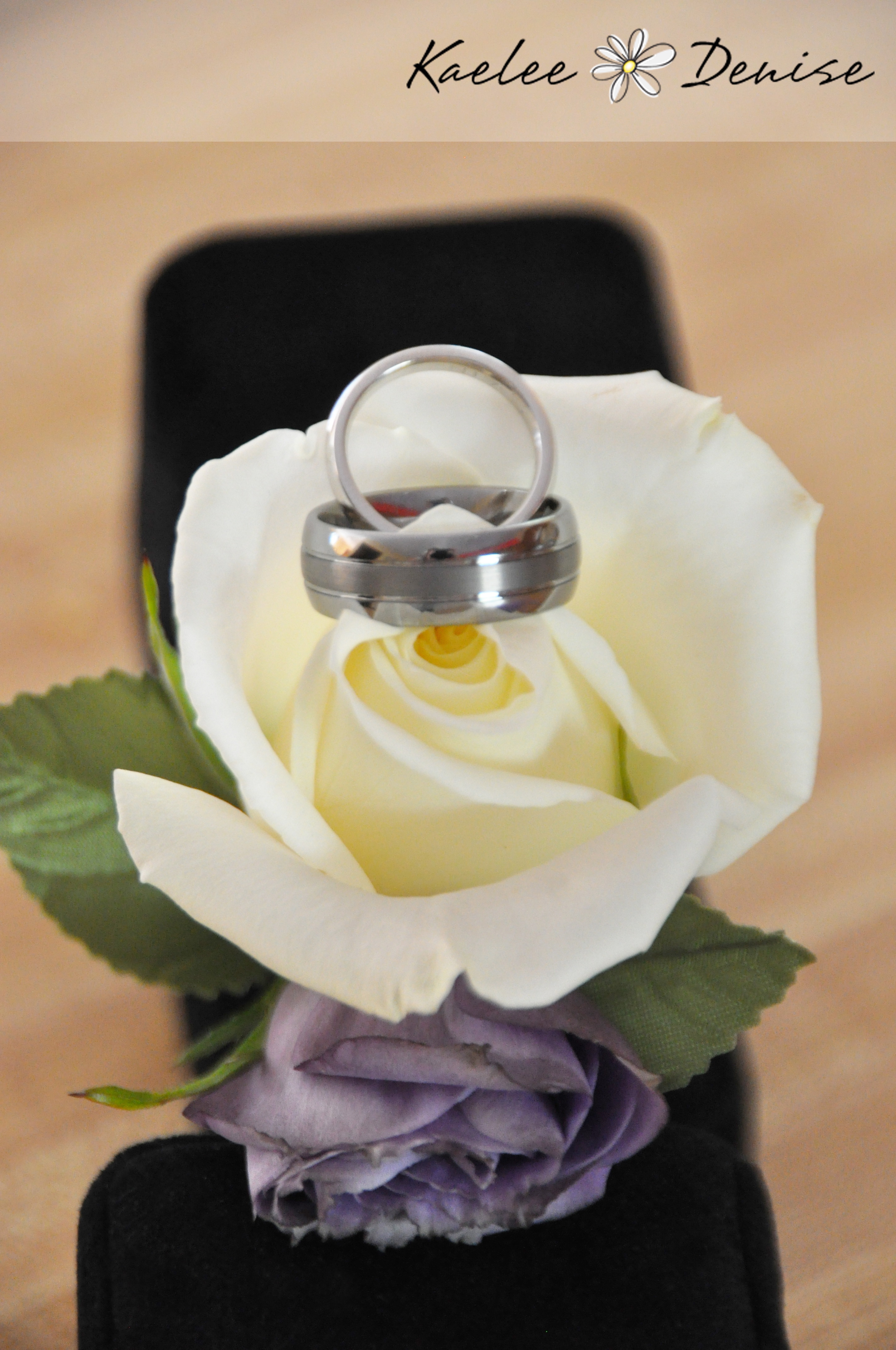 Kaelee Denise Photography