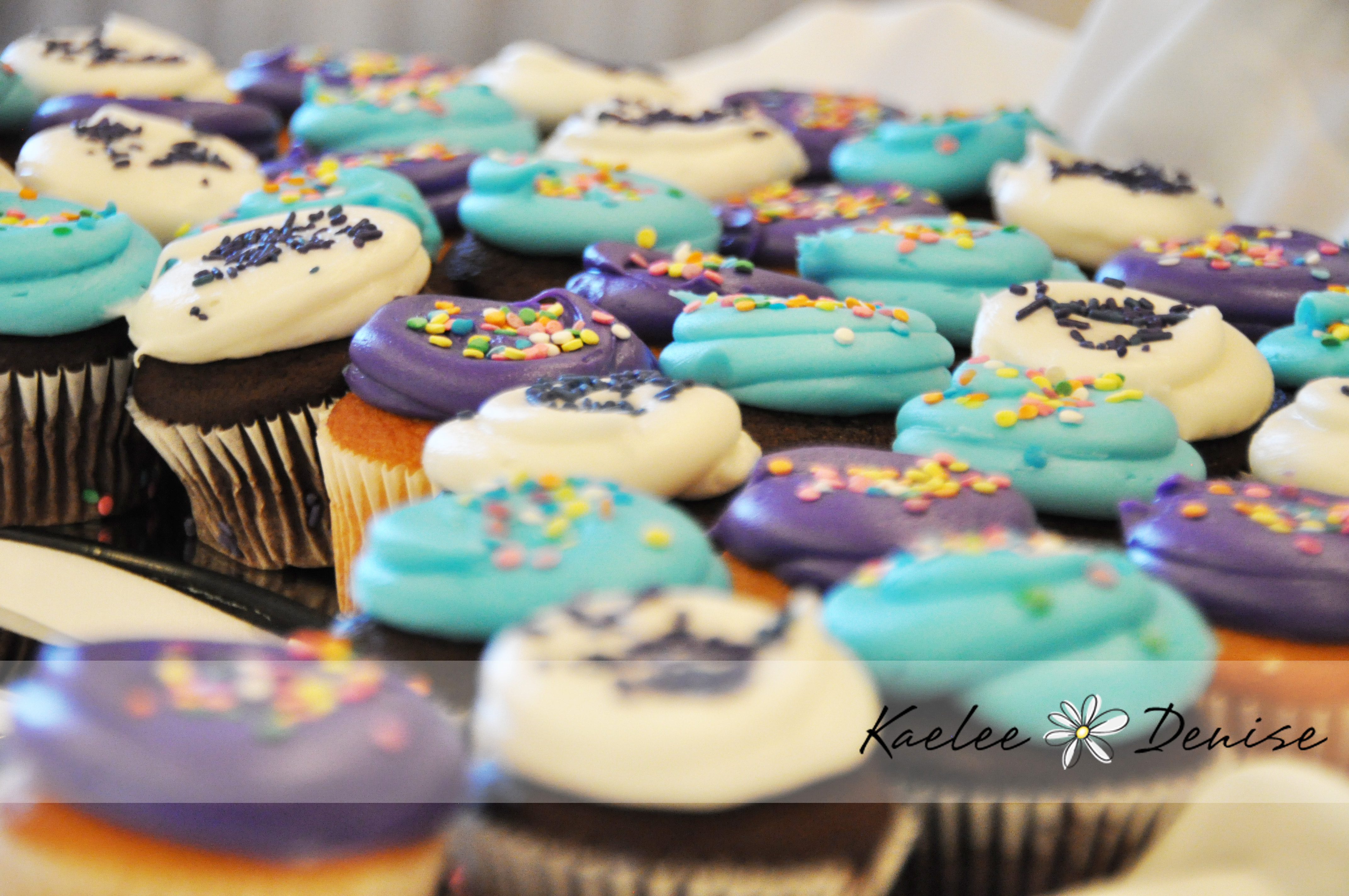 Kaelee Denise Photography