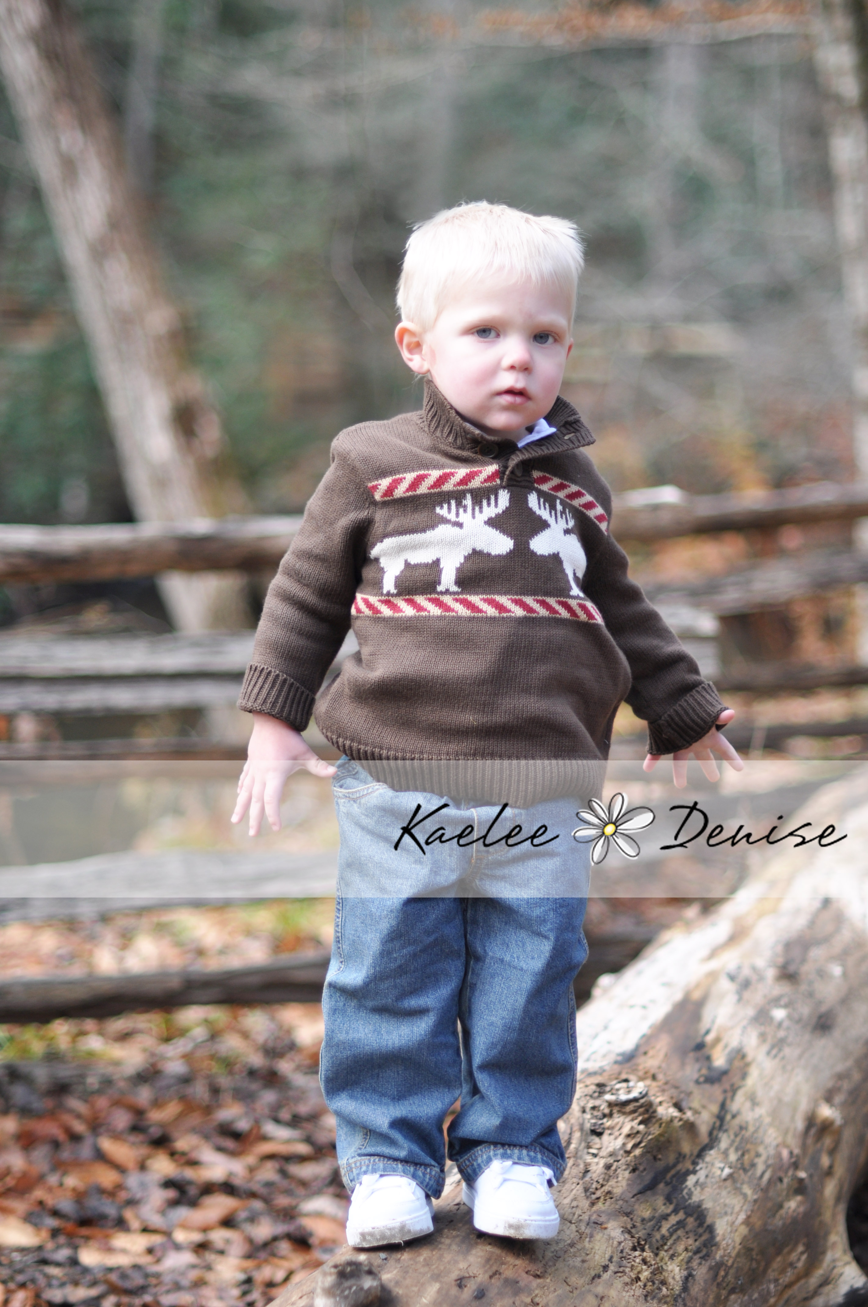 Kaelee Denise Photography