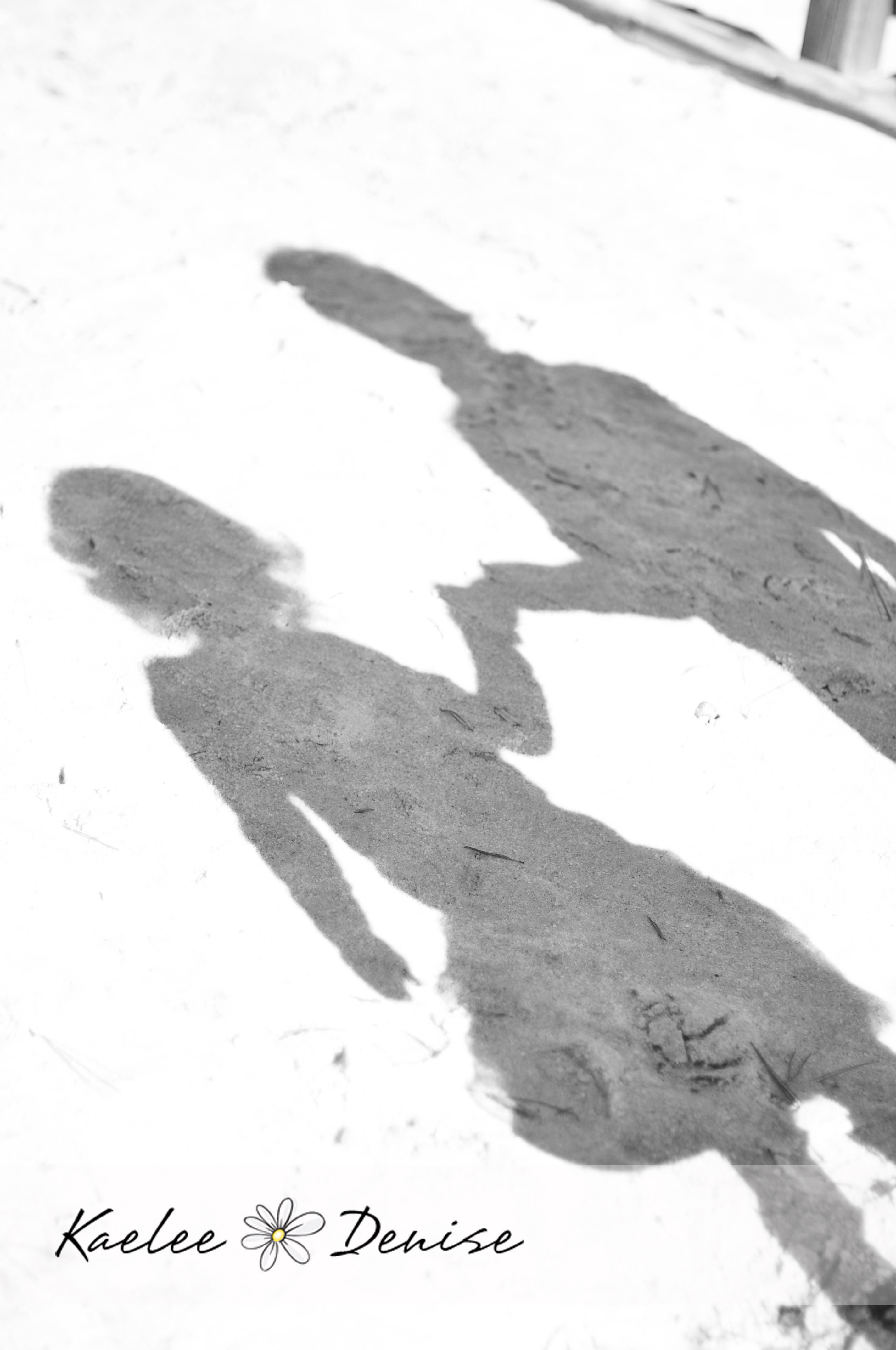 Kaelee Denise Photography