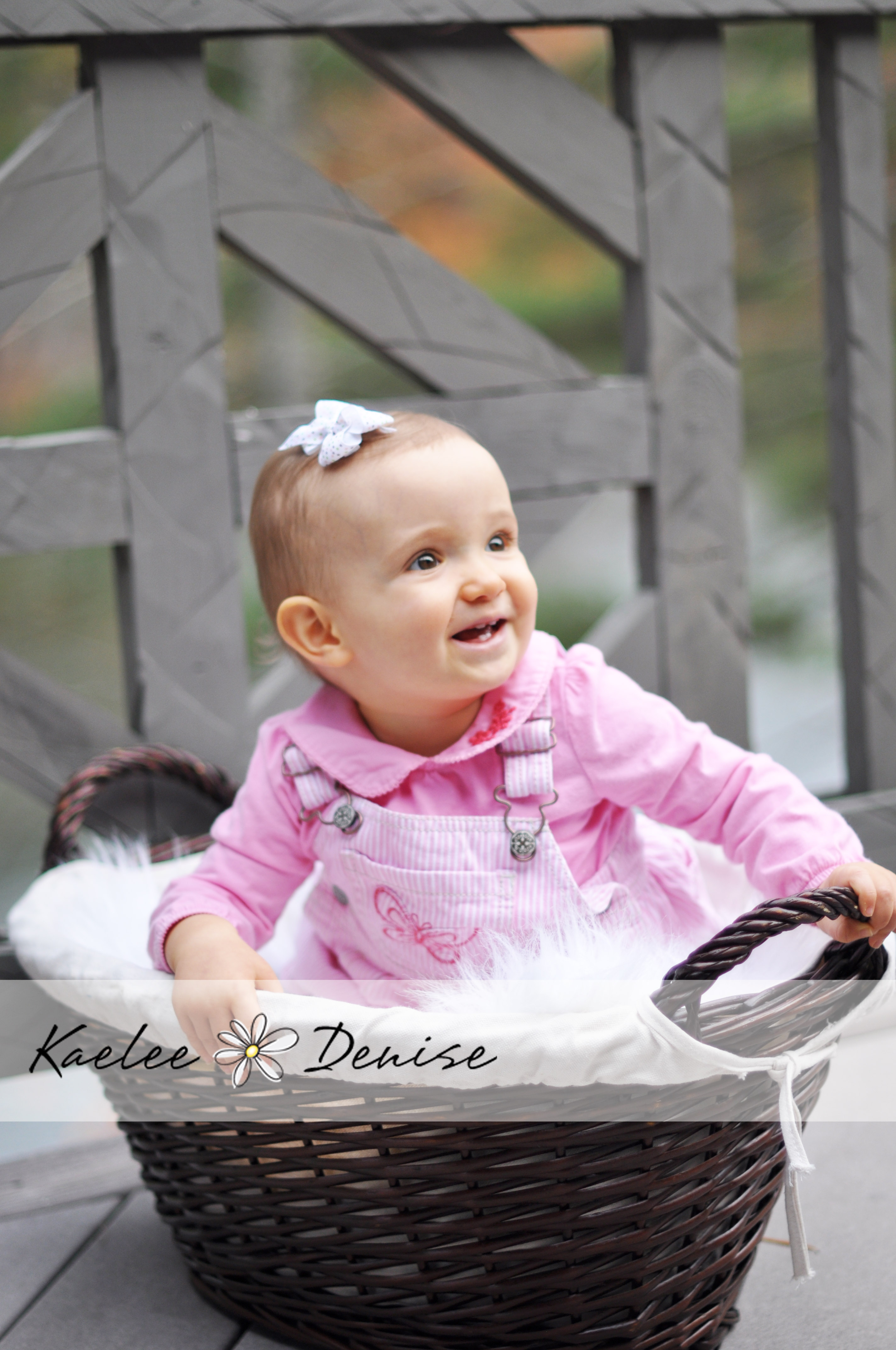 Kaelee Denise Photography