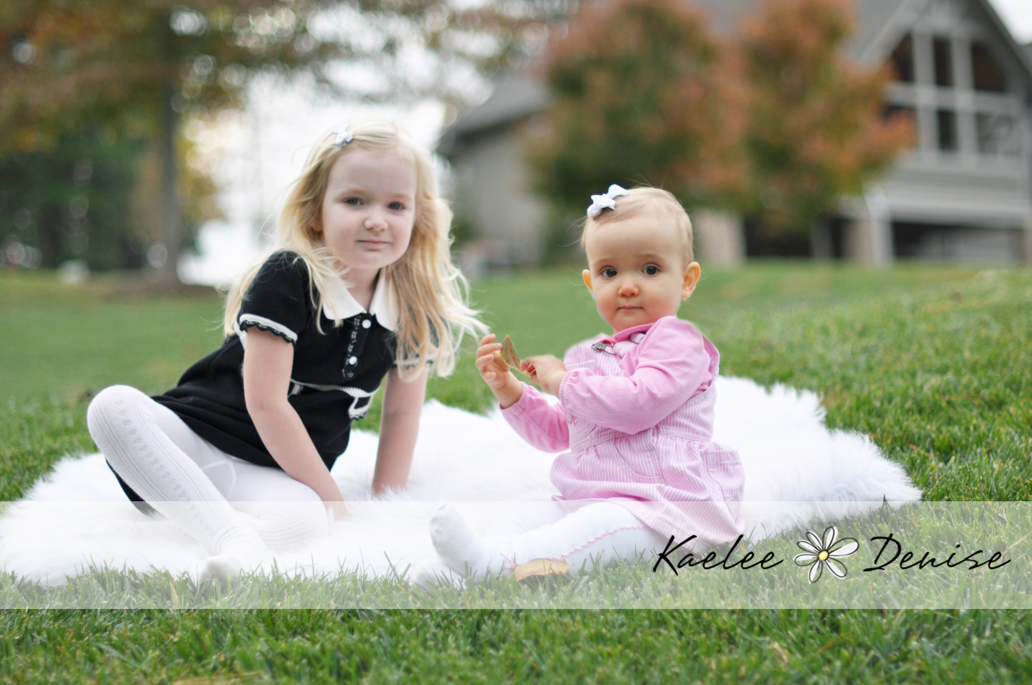 Kaelee Denise Photography