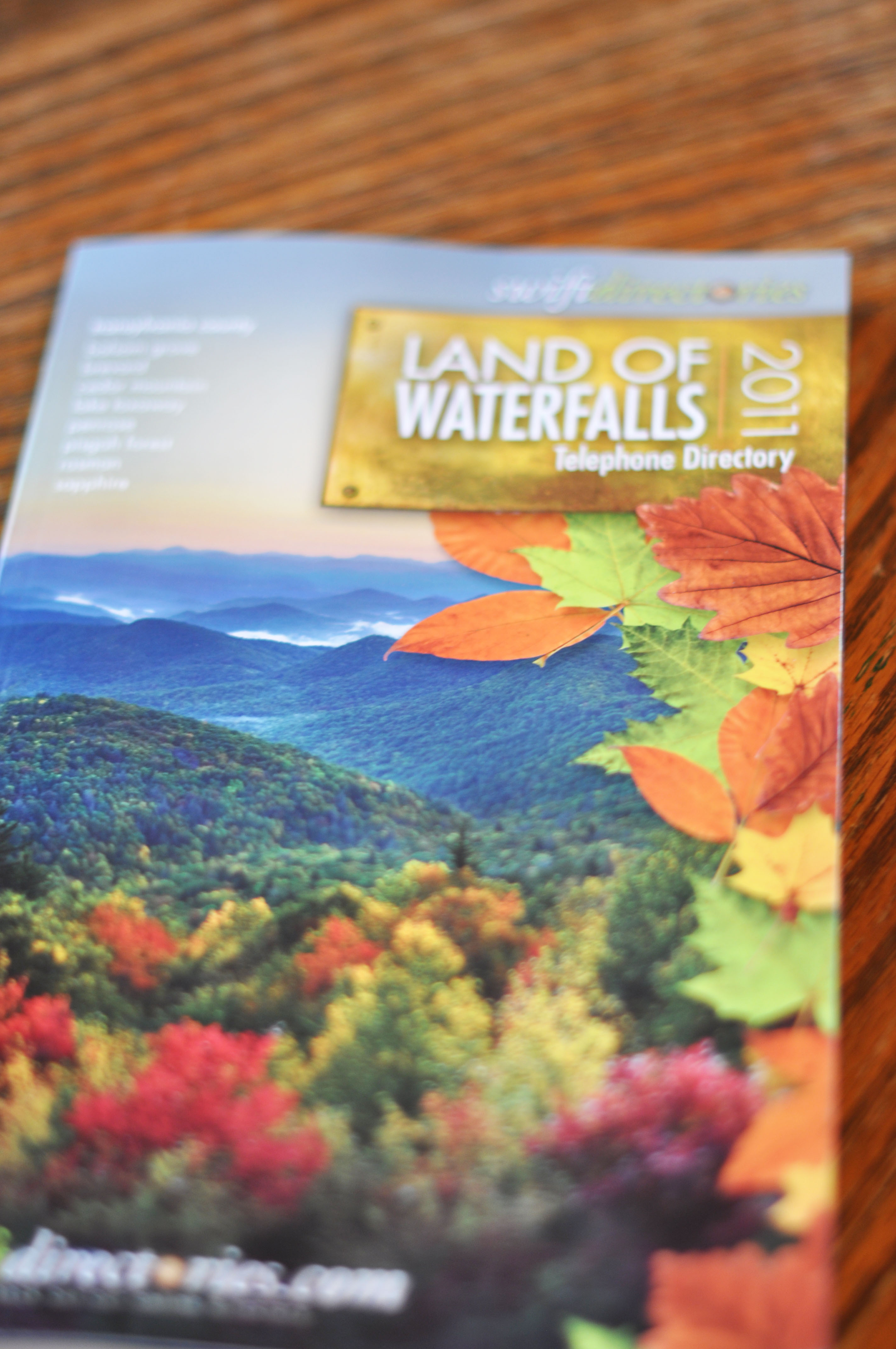 Kaelee Denise Photography