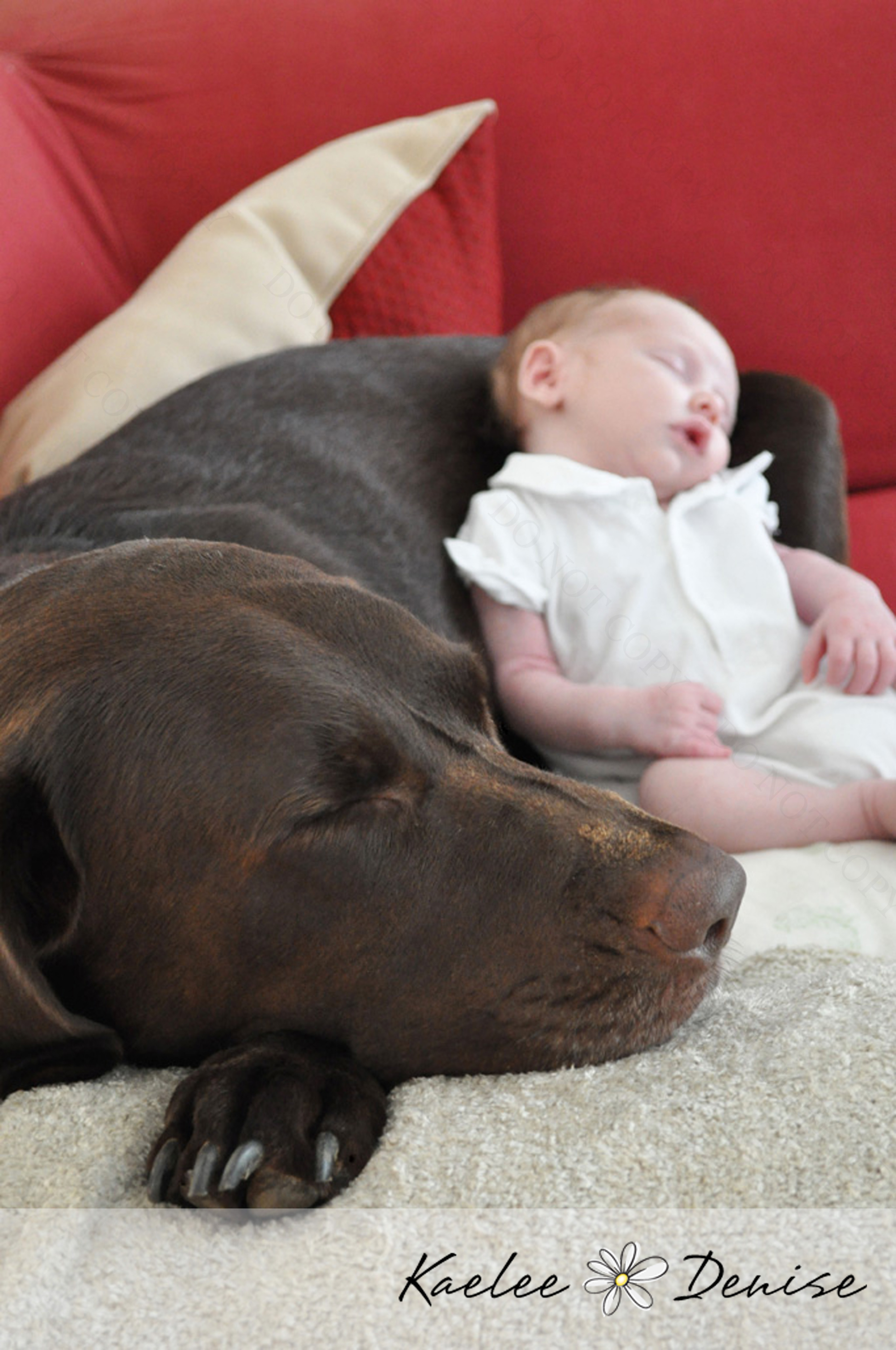 Kaelee Denise Photography