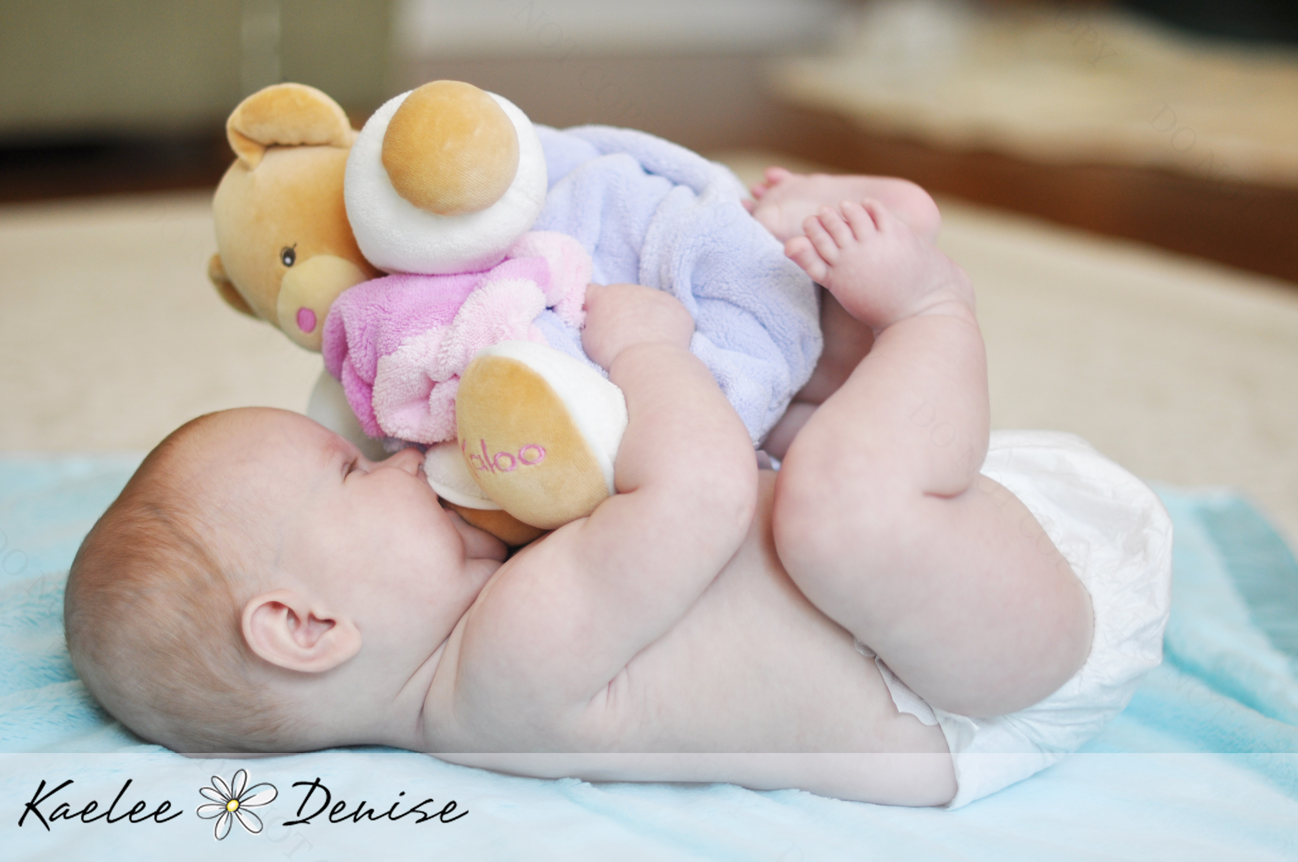 Kaelee Denise Photography