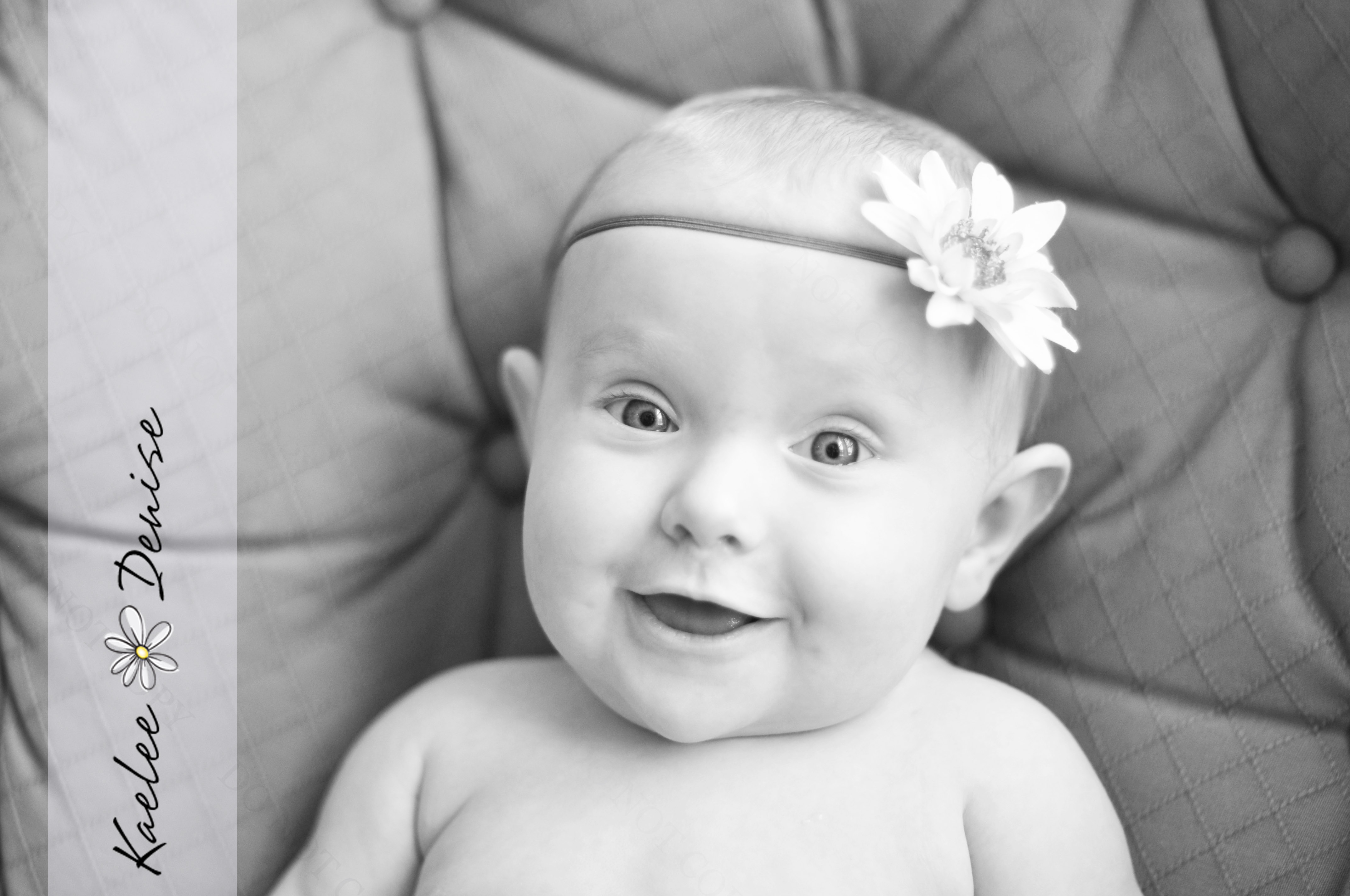 Kaelee Denise Photography