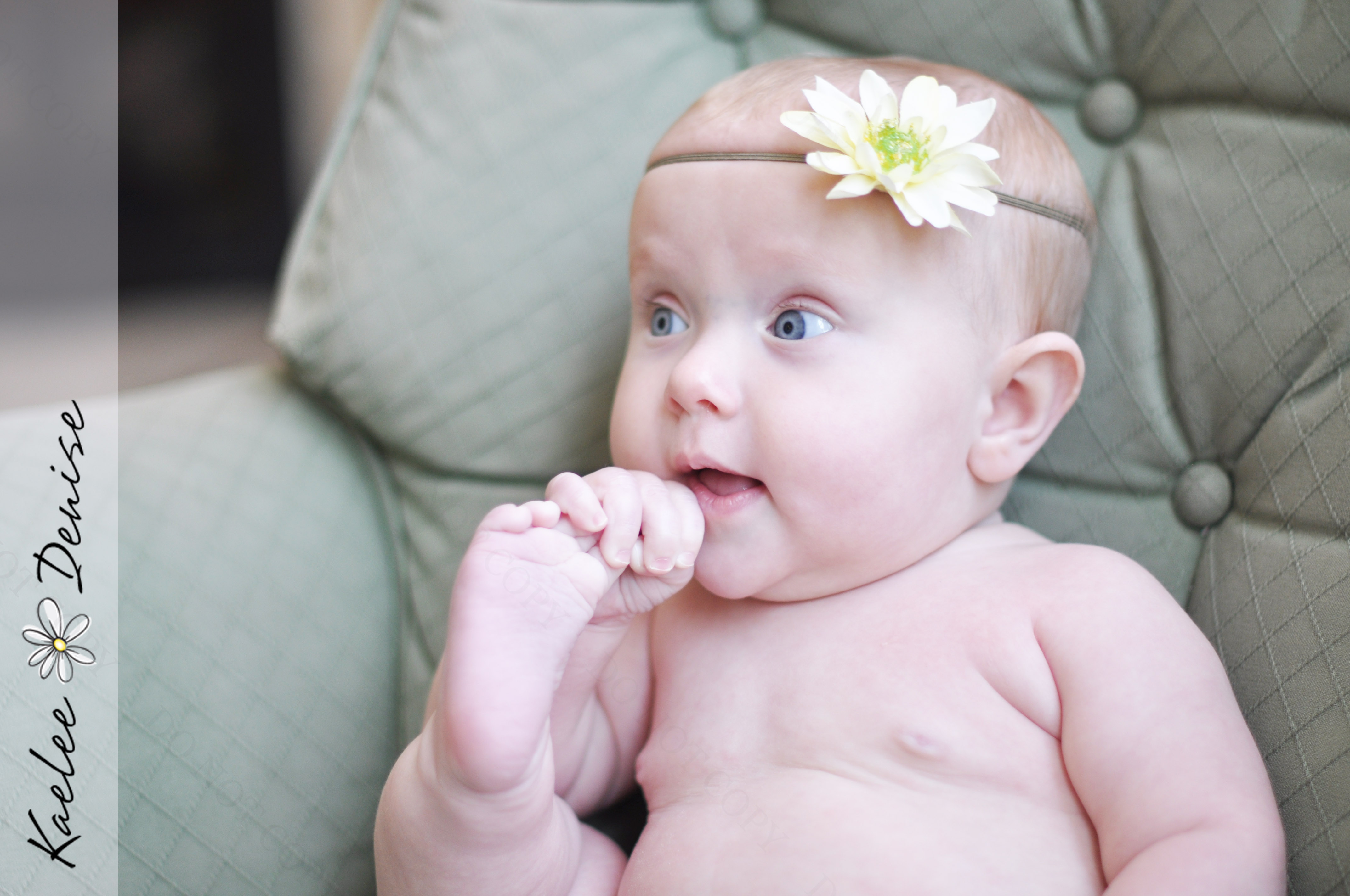 Kaelee Denise Photography