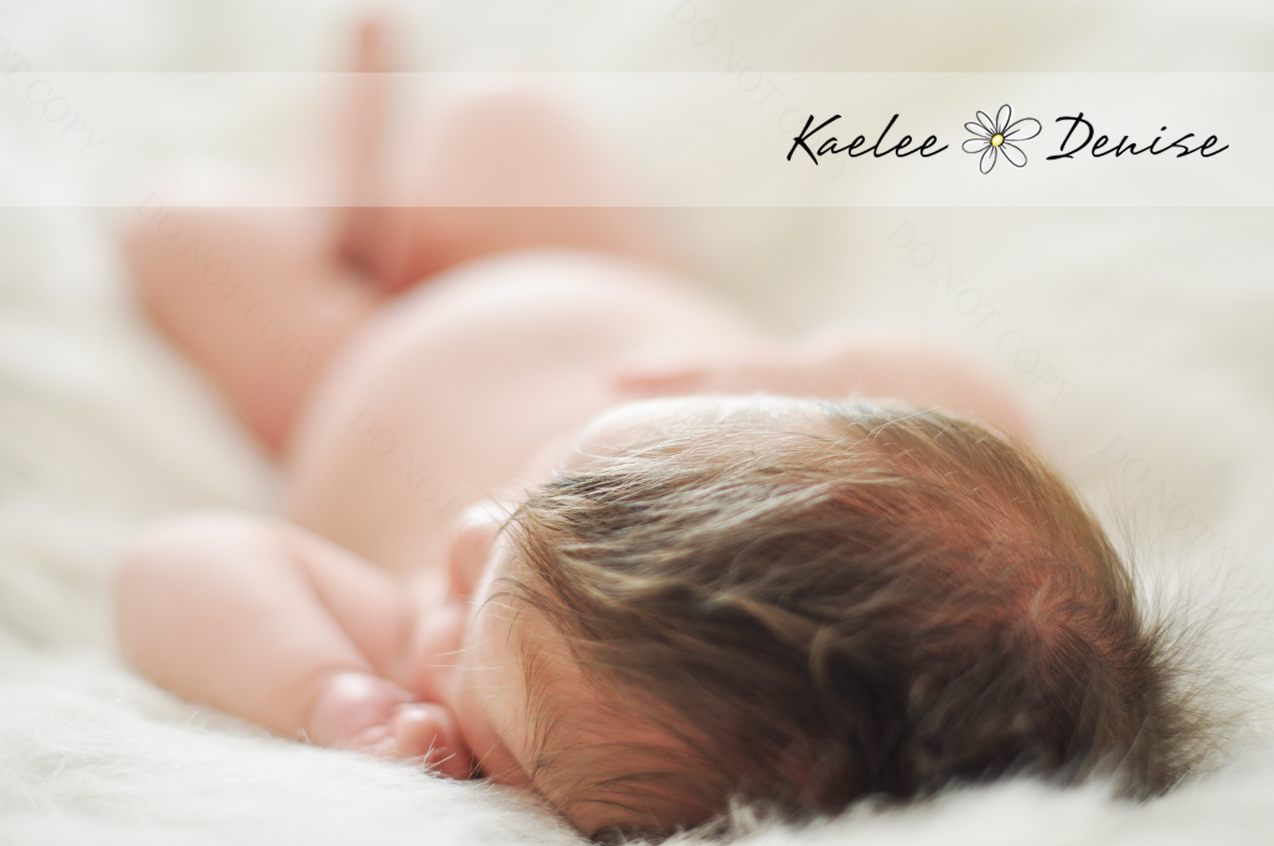 Kaelee Denise Photography