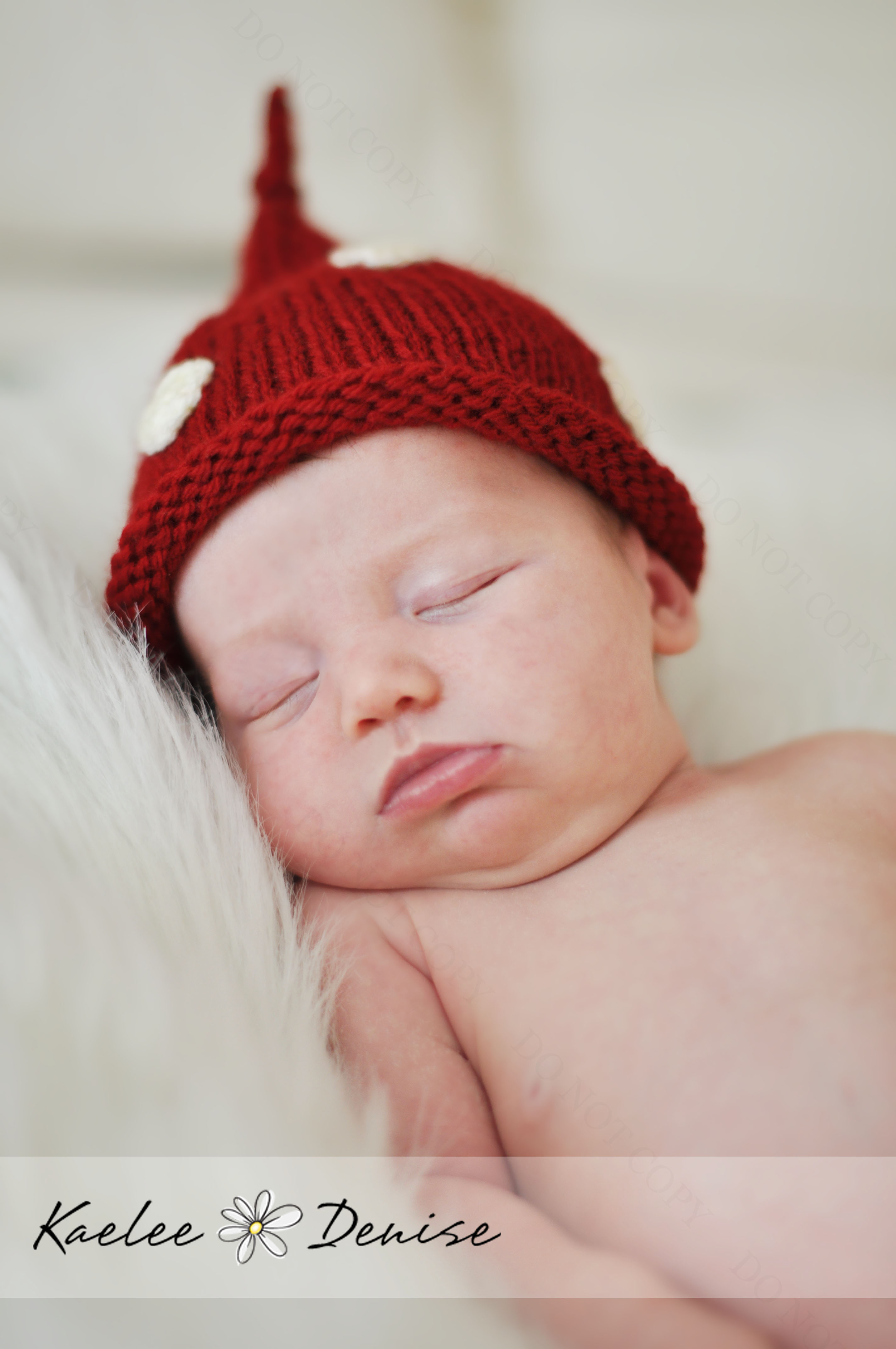 Kaelee Denise Photography