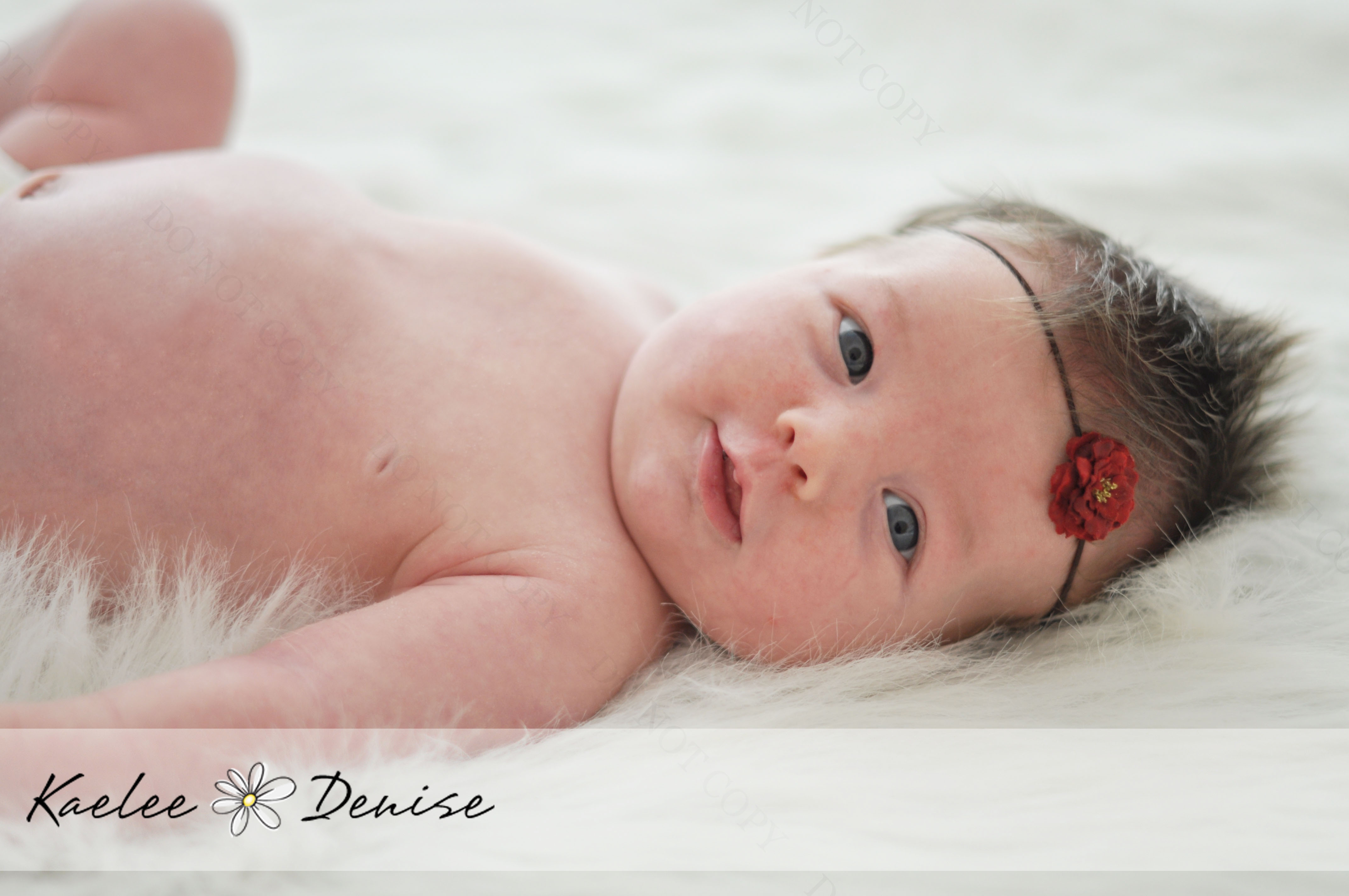 Kaelee Denise Photography