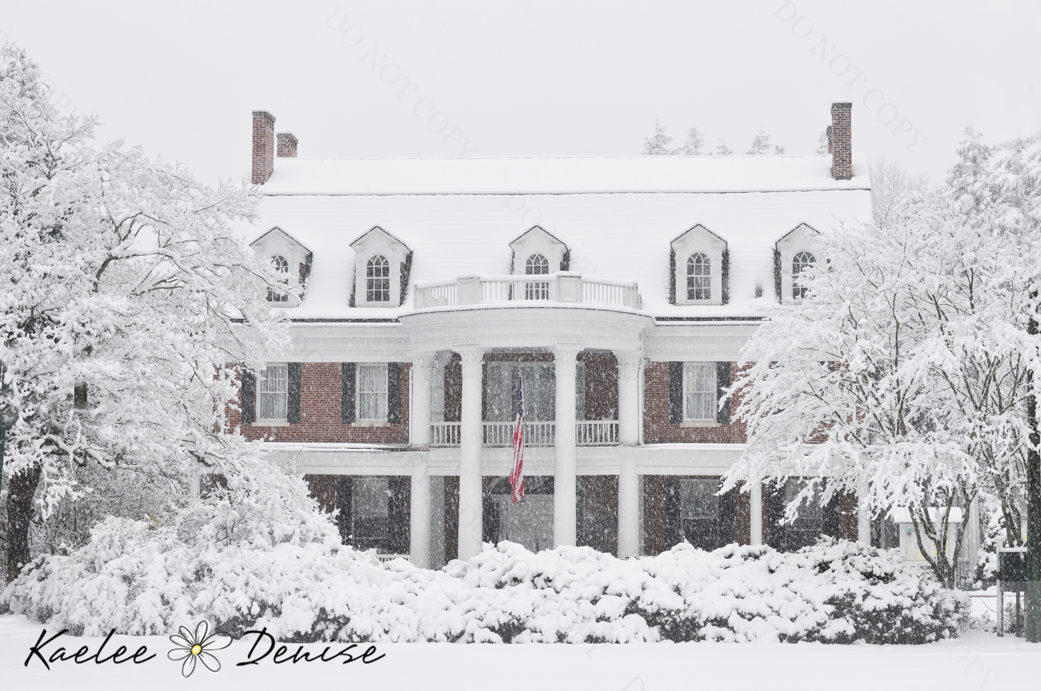 Kaelee Denise Photography