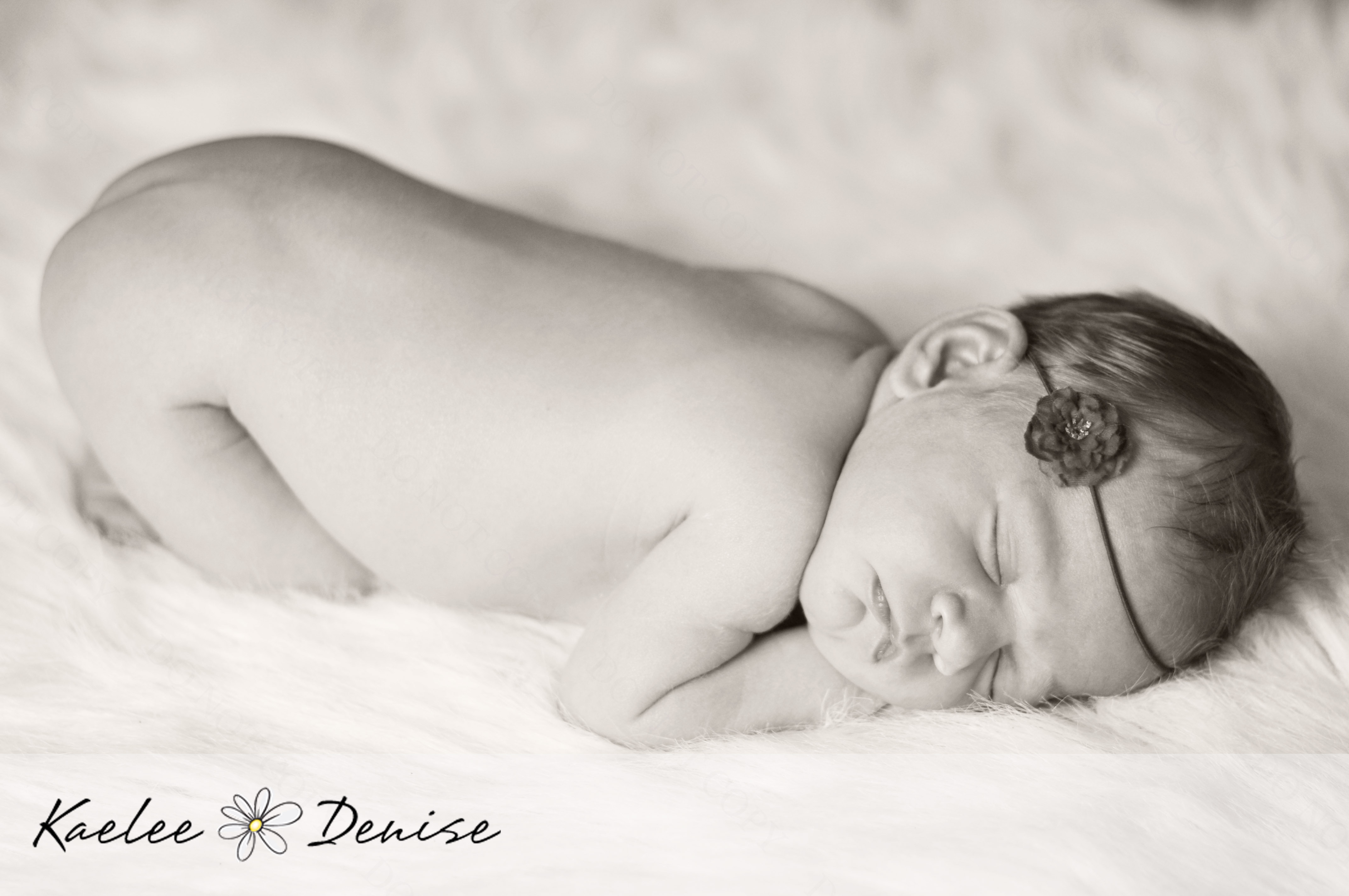 Kaelee Denise Photography