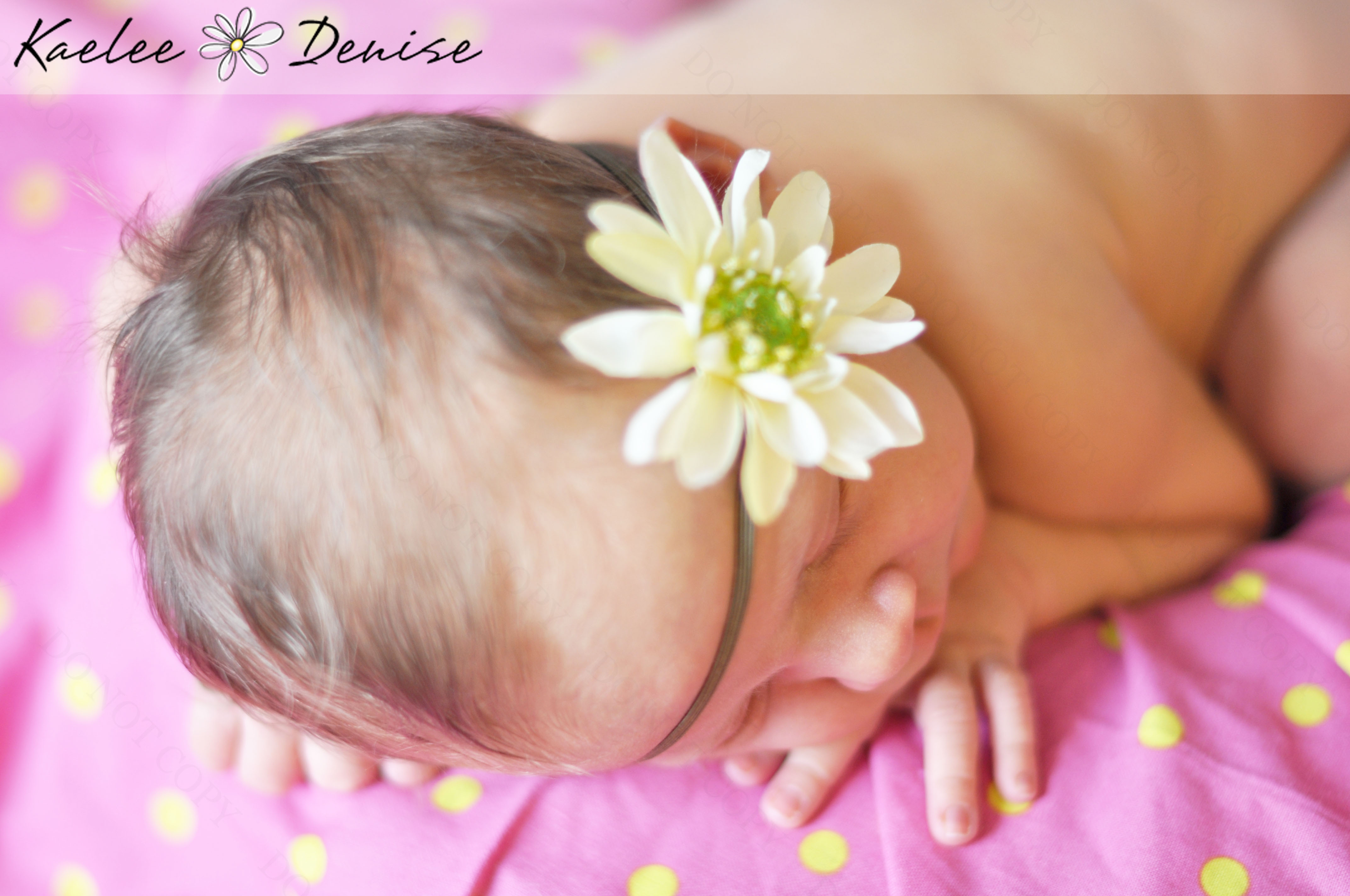 Kaelee Denise Photography