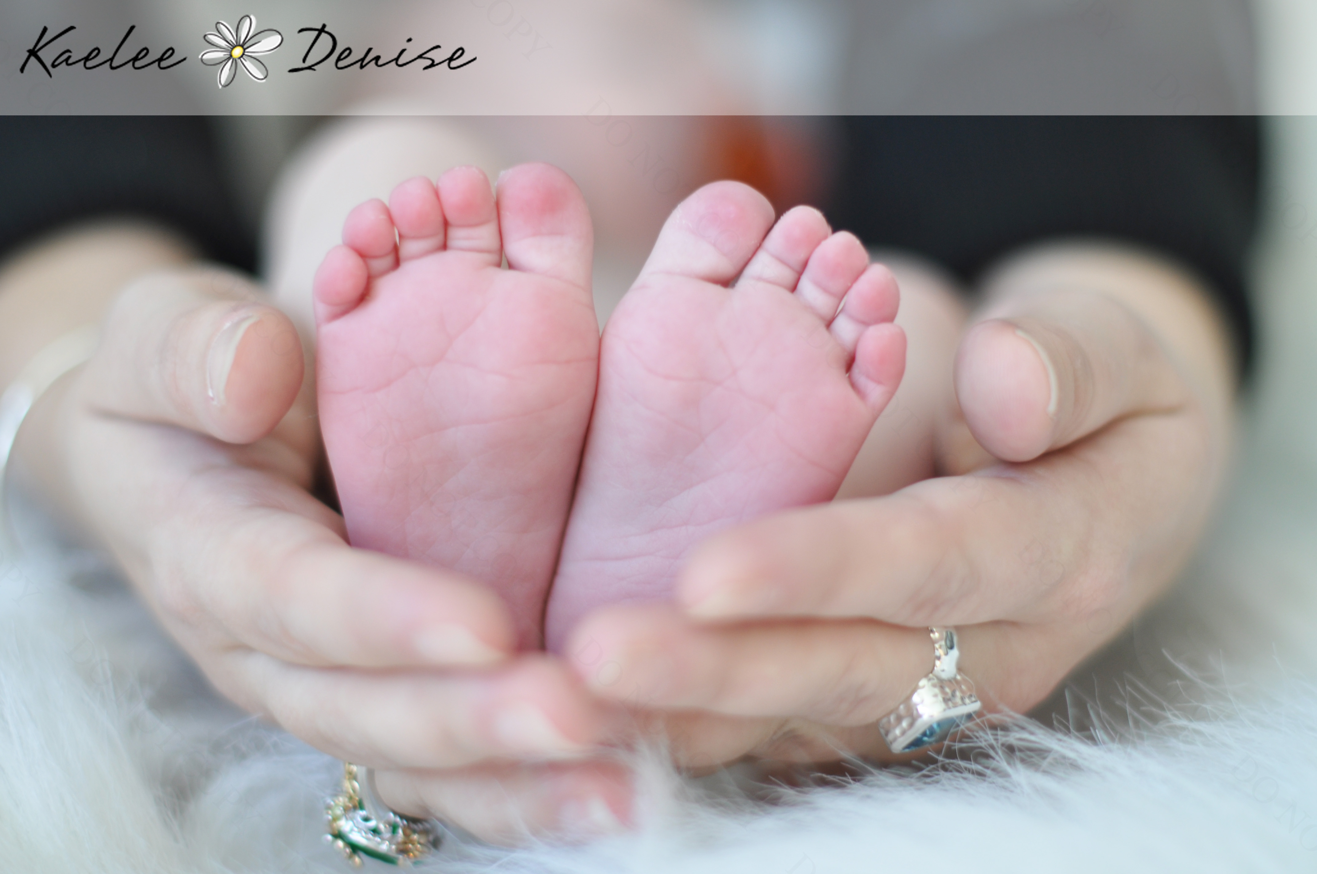 Kaelee Denise Photography