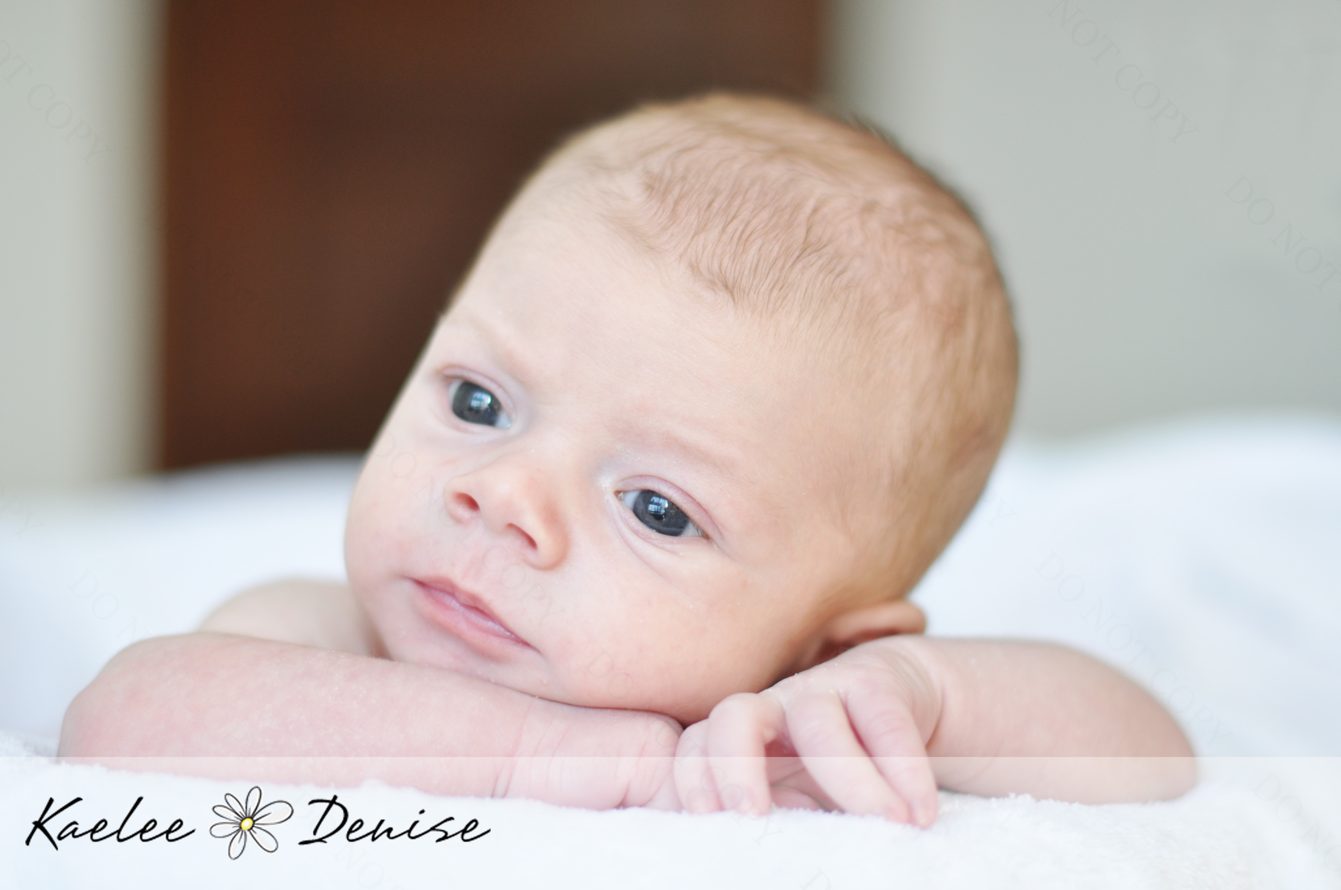 Kaelee Denise Photography