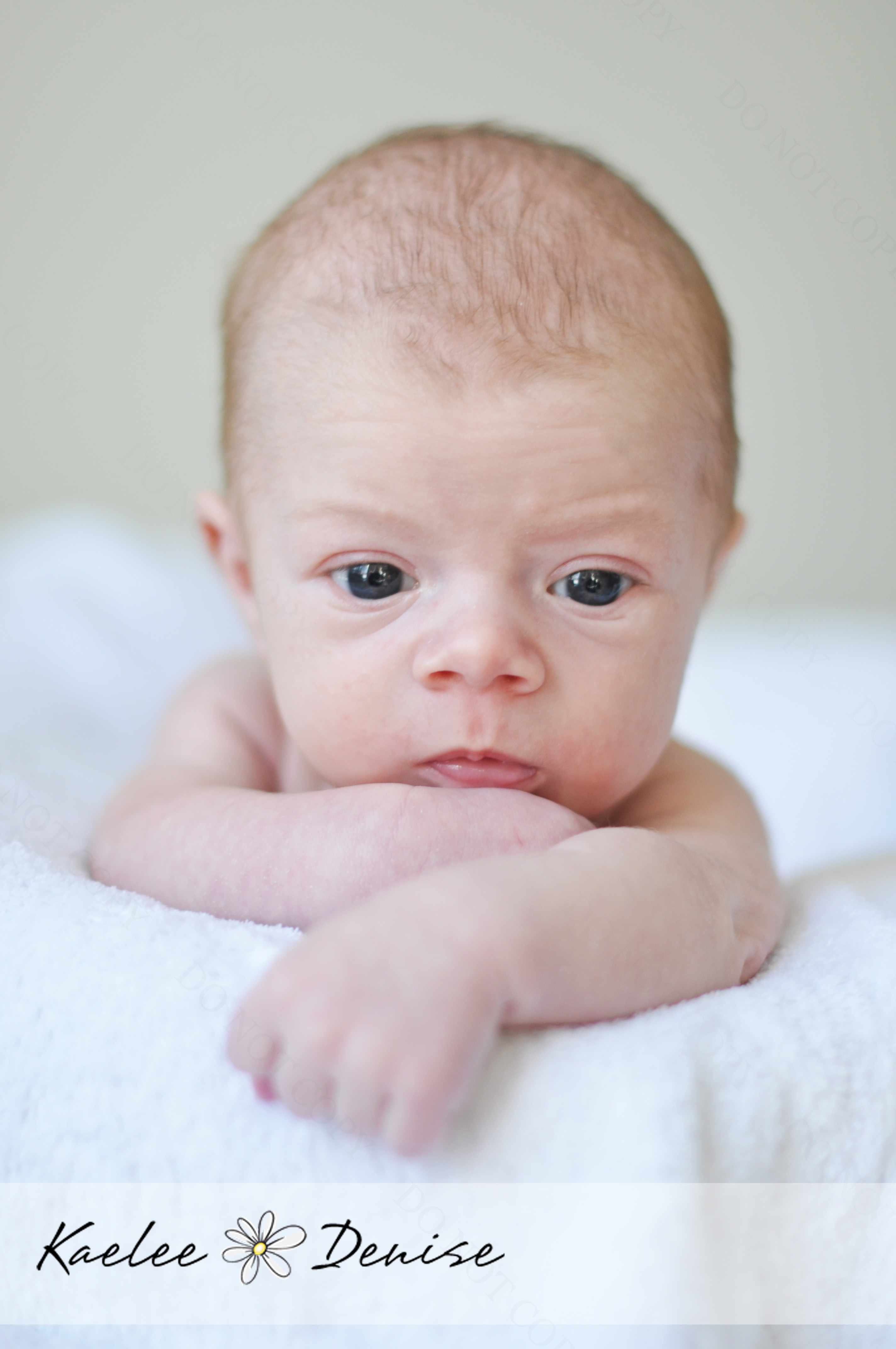 Kaelee Denise Photography