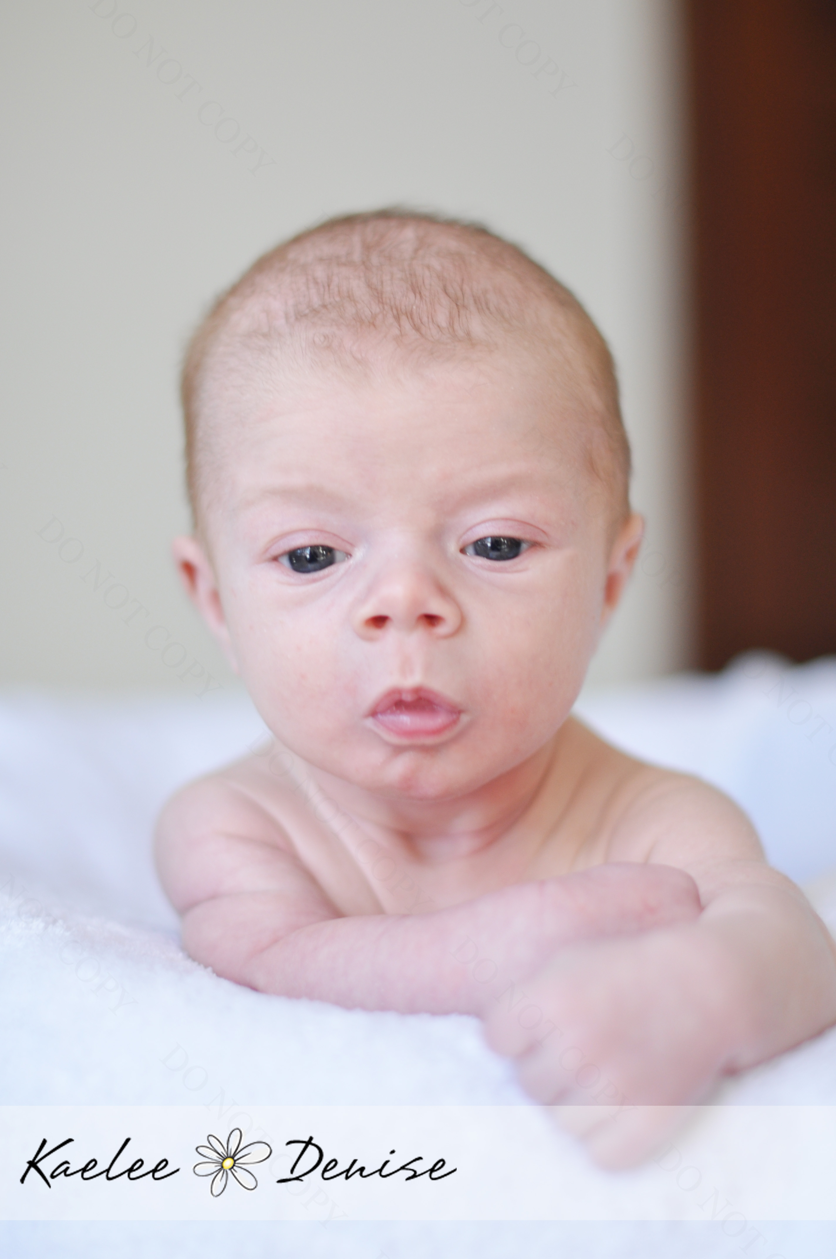 Kaelee Denise Photography