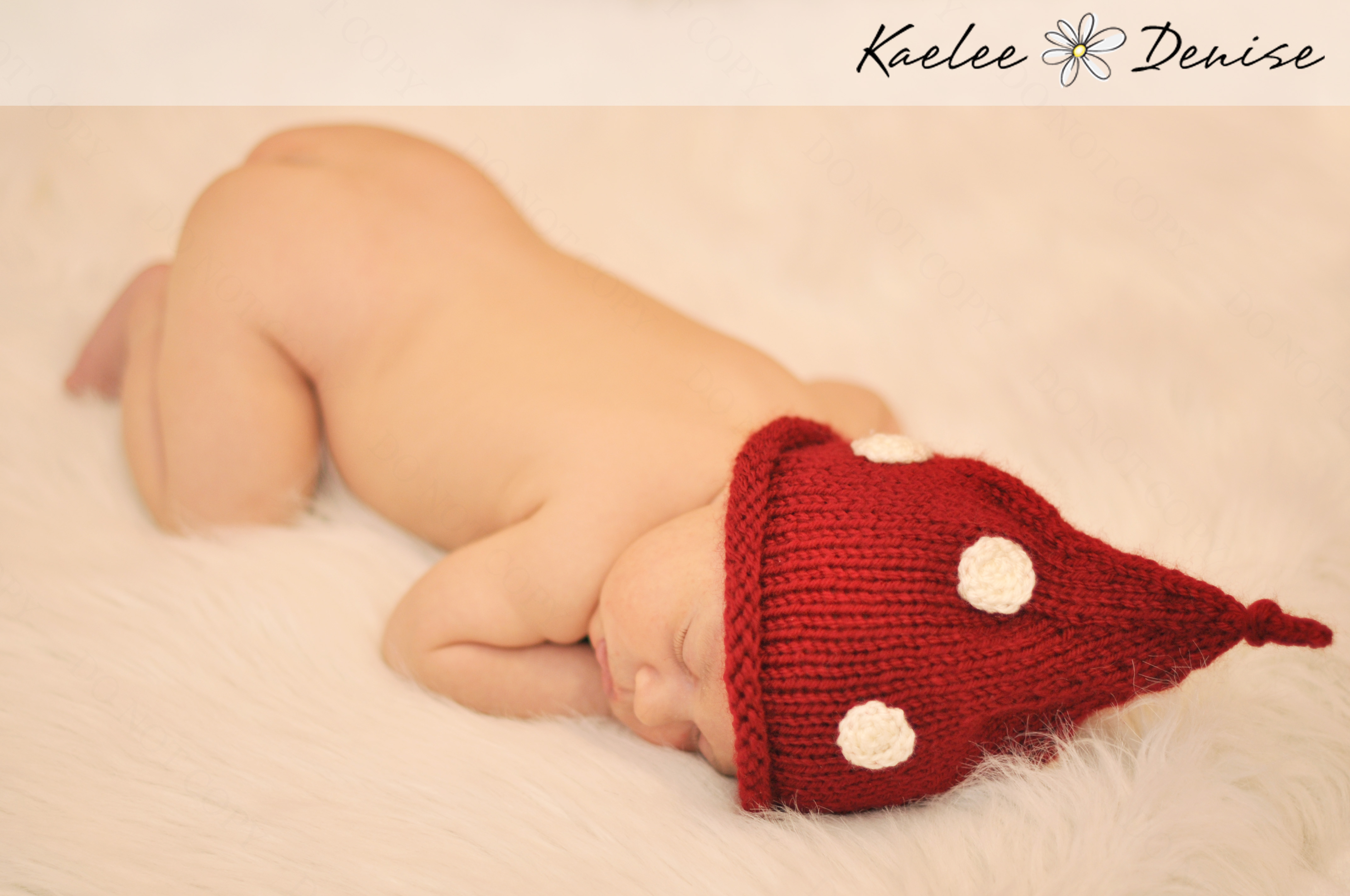 Kaelee Denise Photography